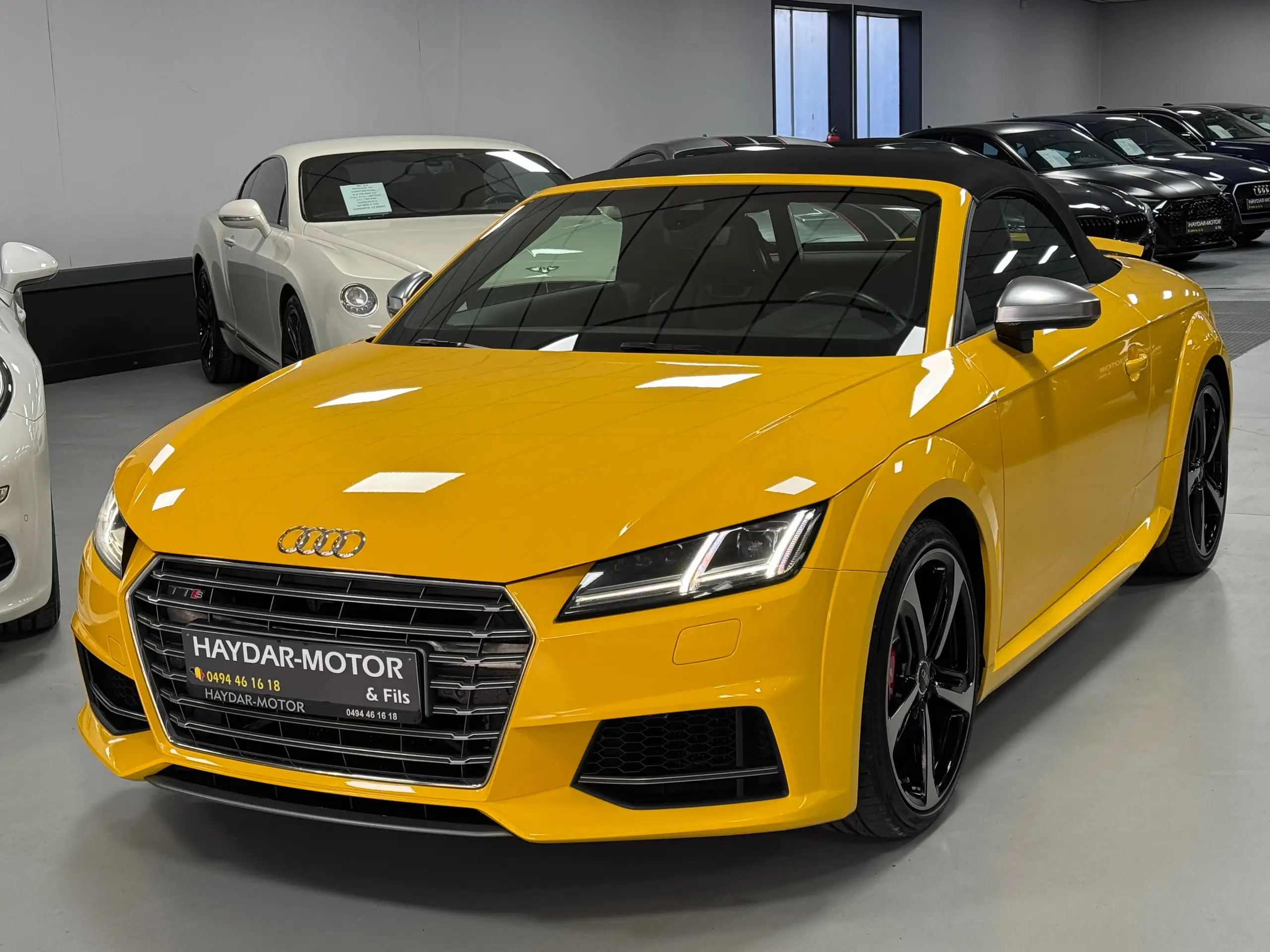 Audi TTS 2017