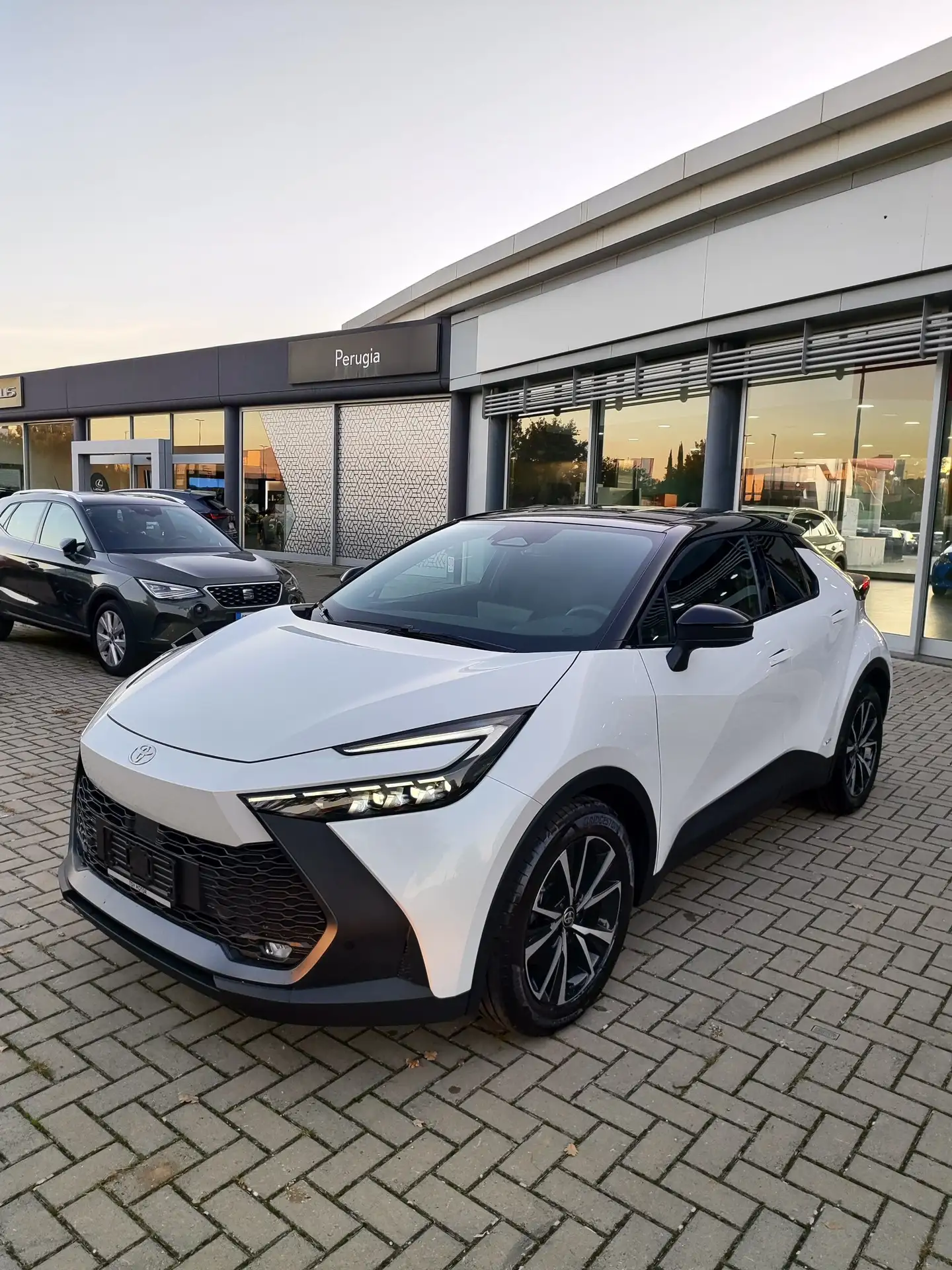 Toyota - C-HR