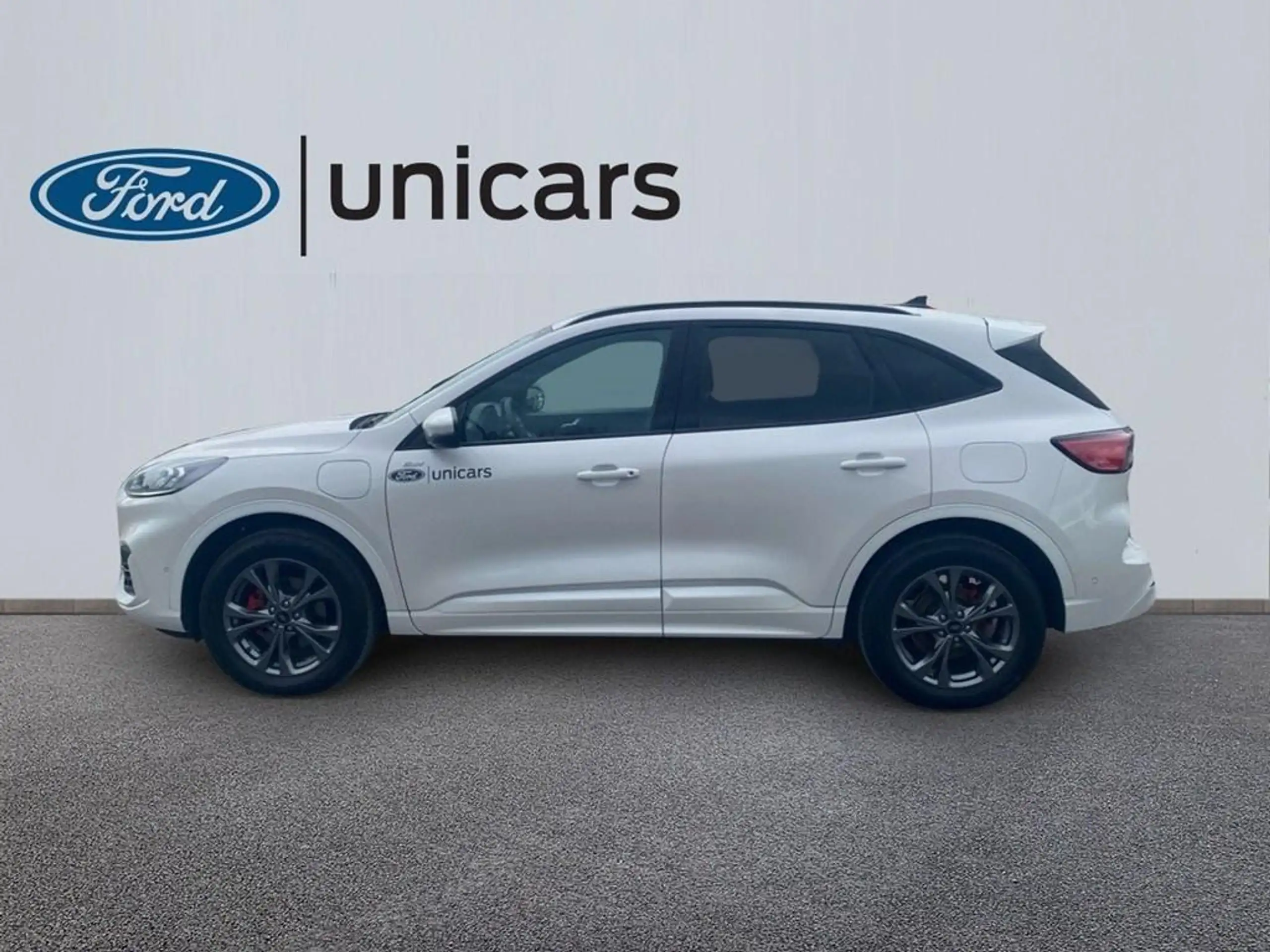 Ford - Kuga