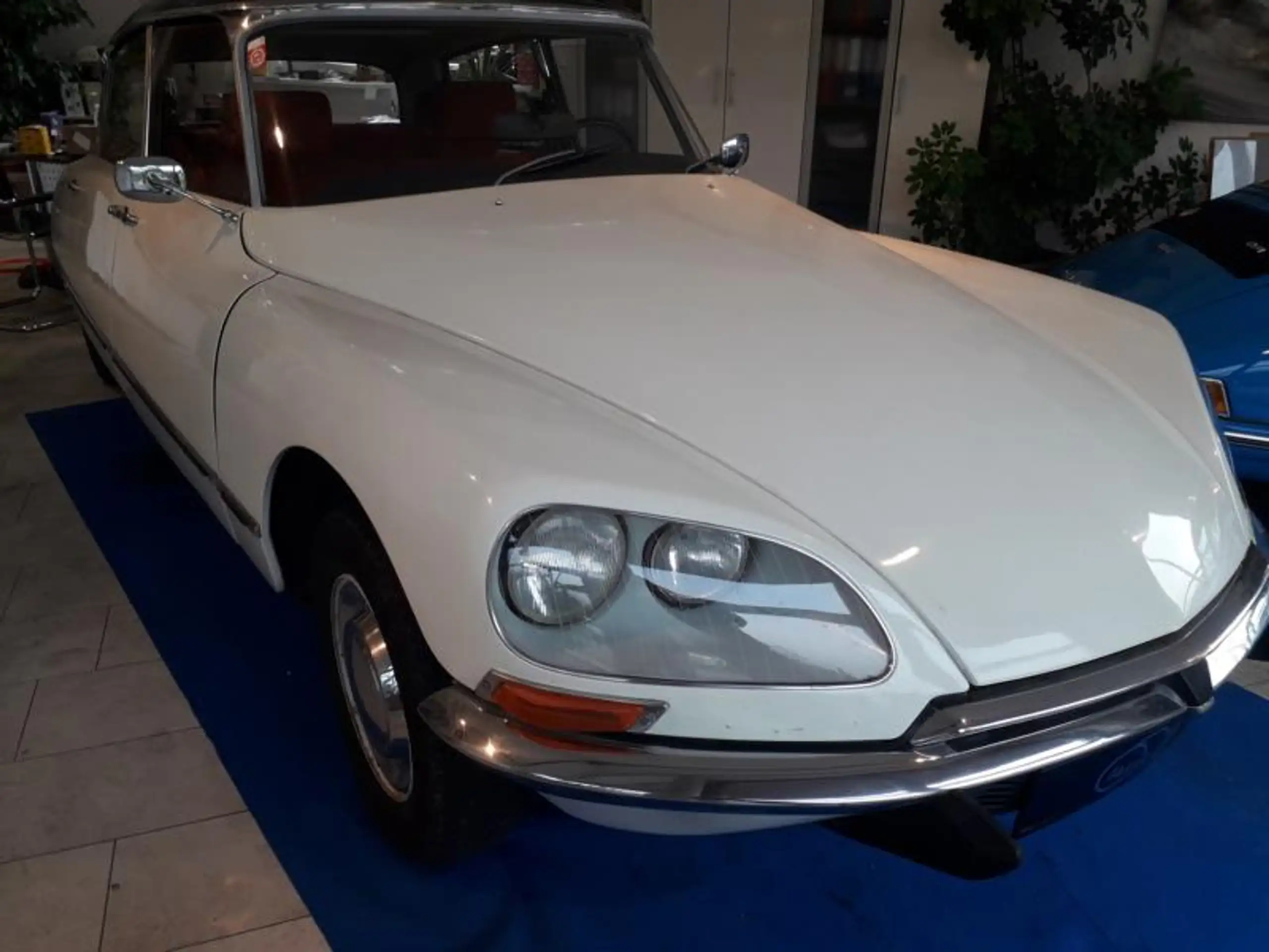 Citroen - DS