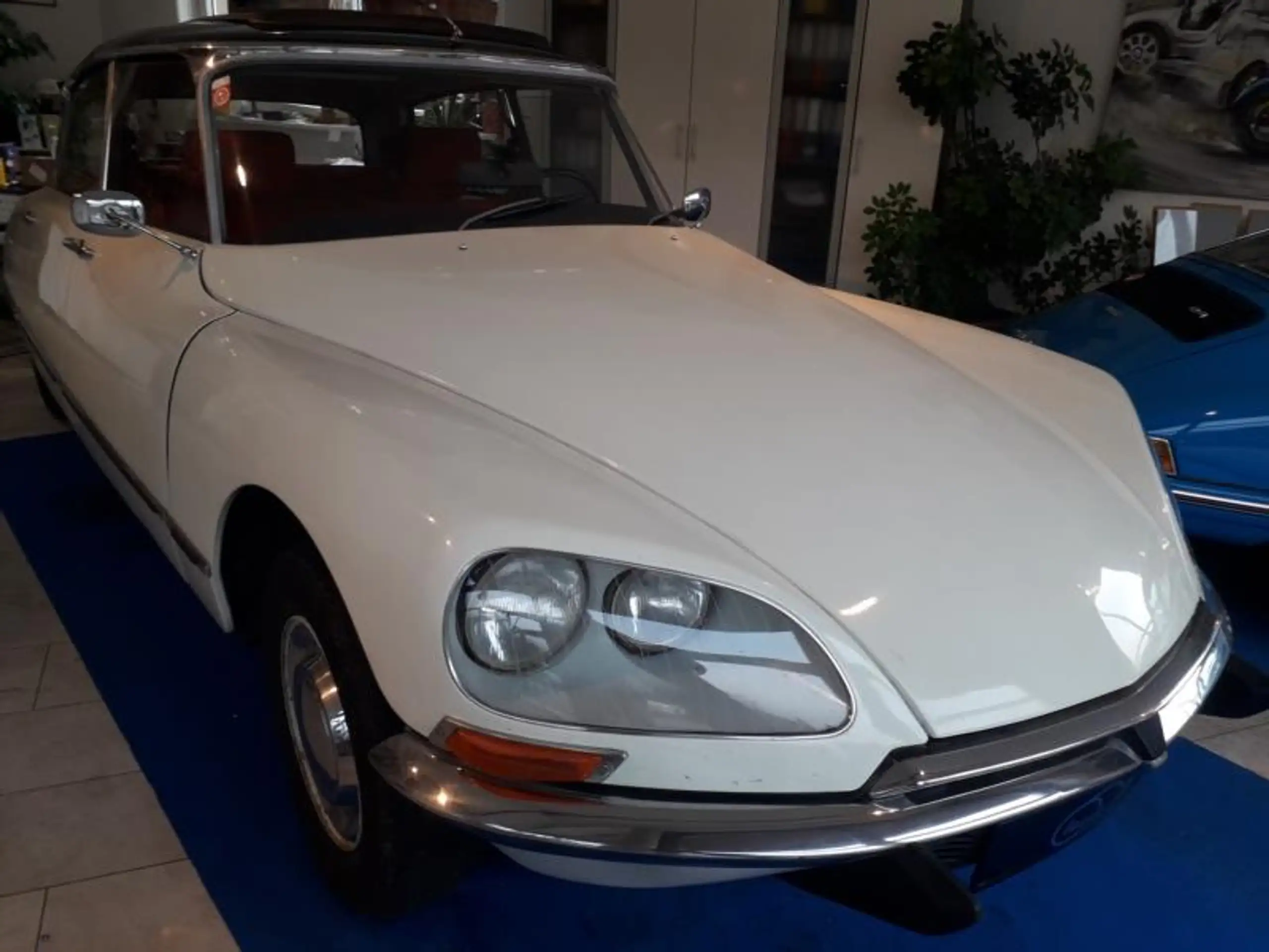 Citroen - DS