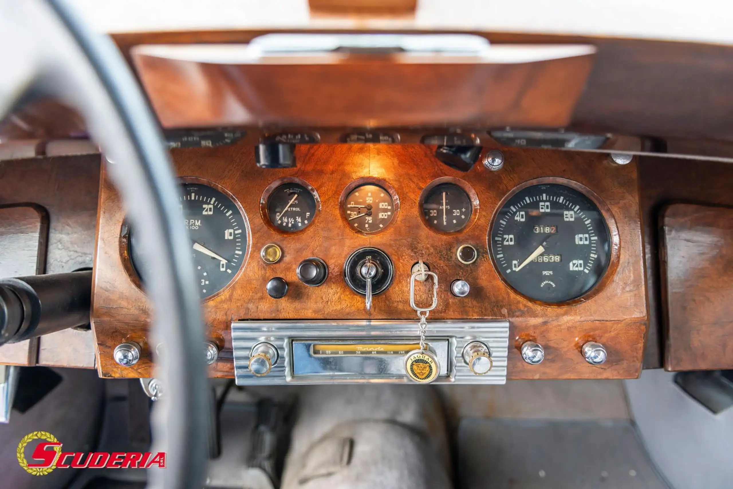 Austin-Healey - Others