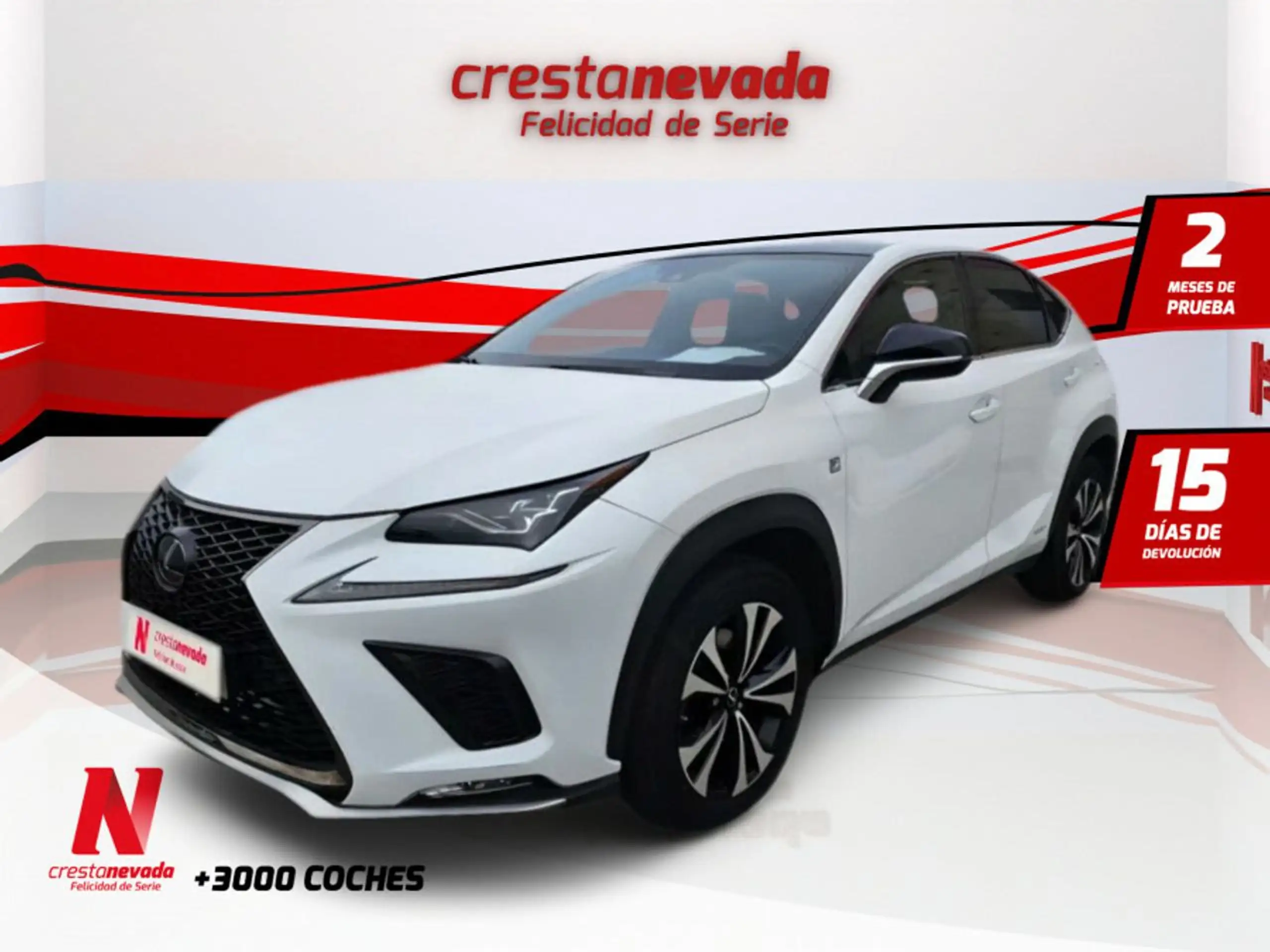 Lexus - NX 300h