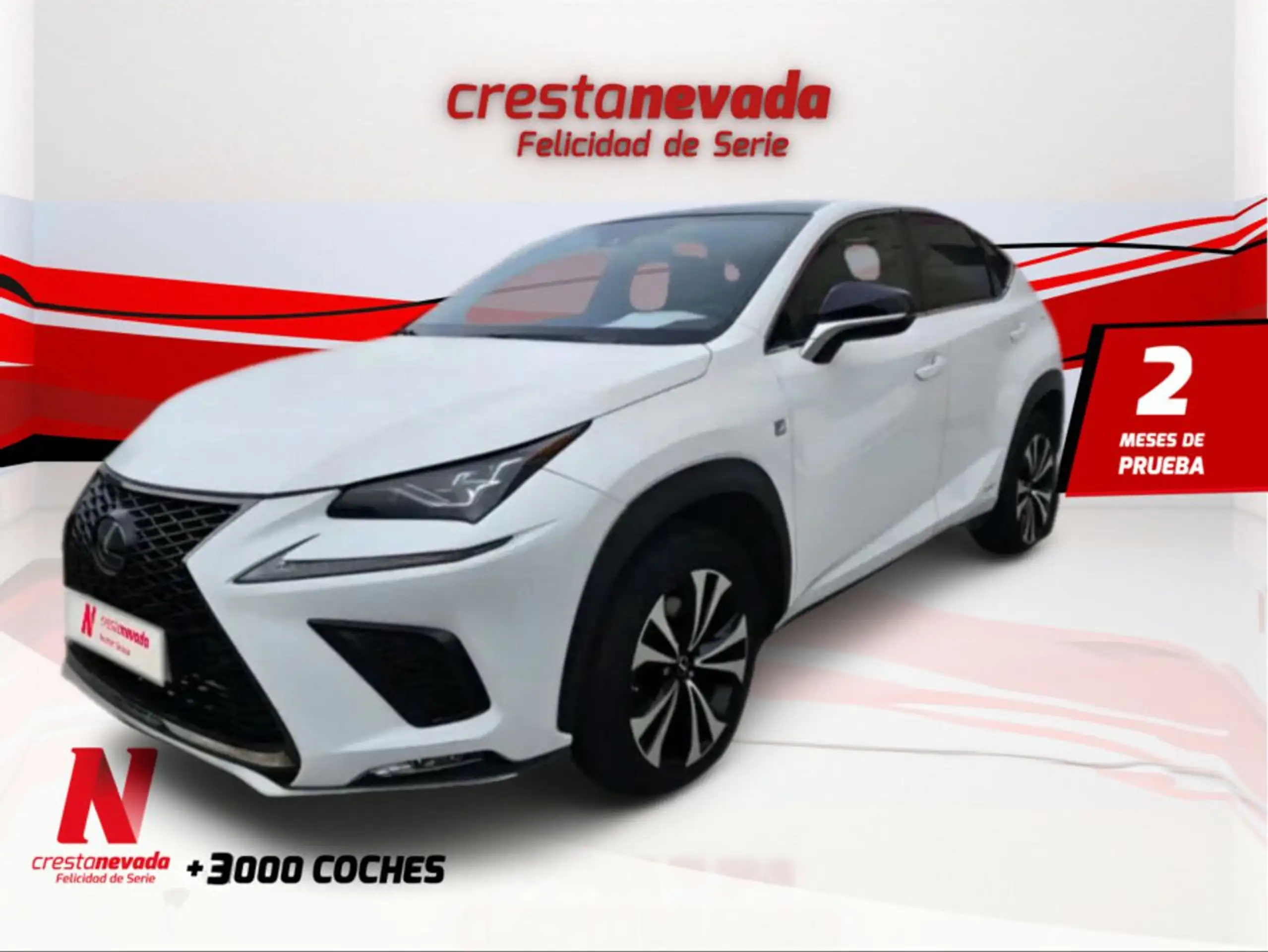 Lexus NX 300h 2019