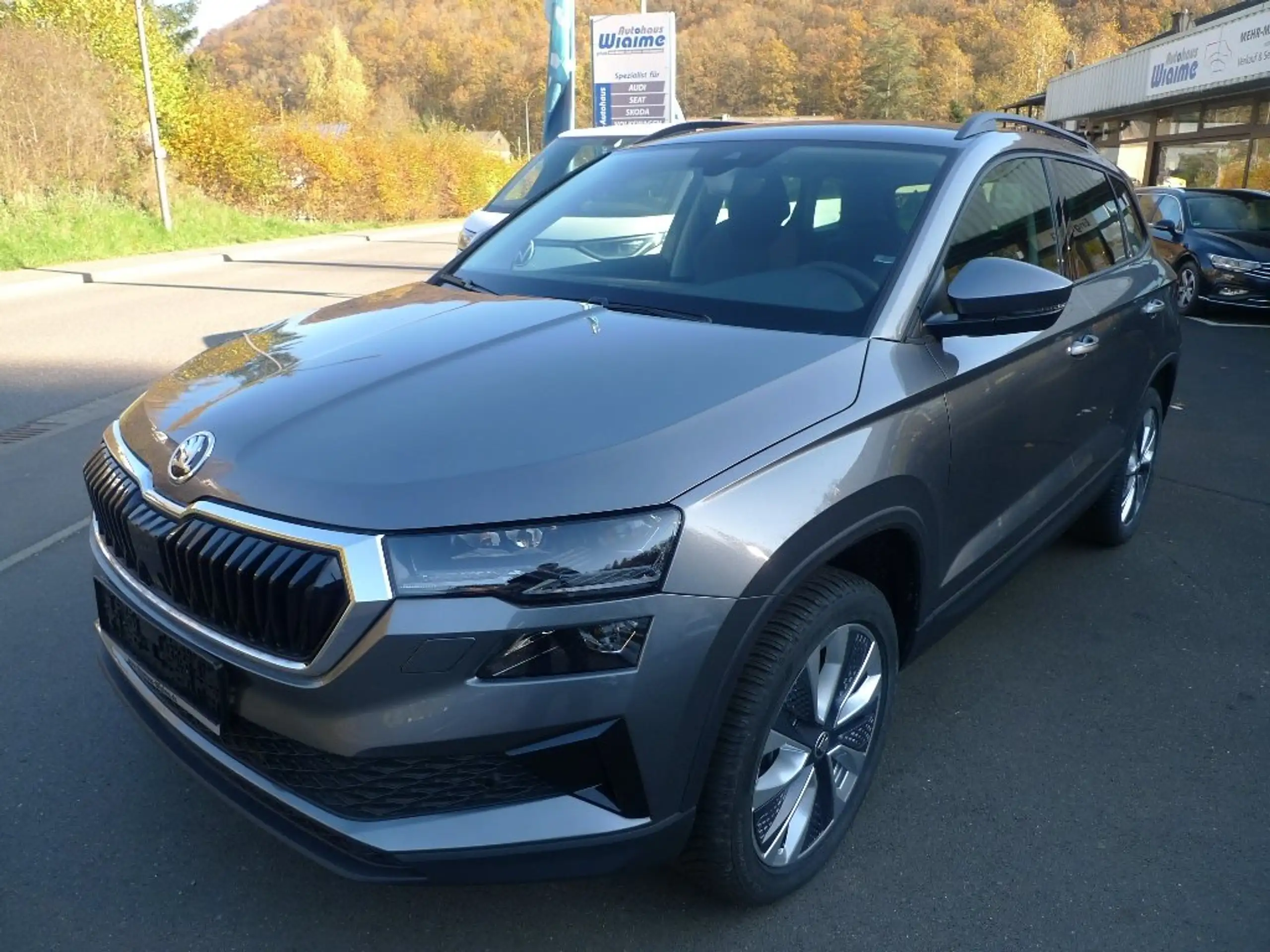 Skoda - Karoq