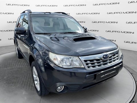 Subaru - Forester