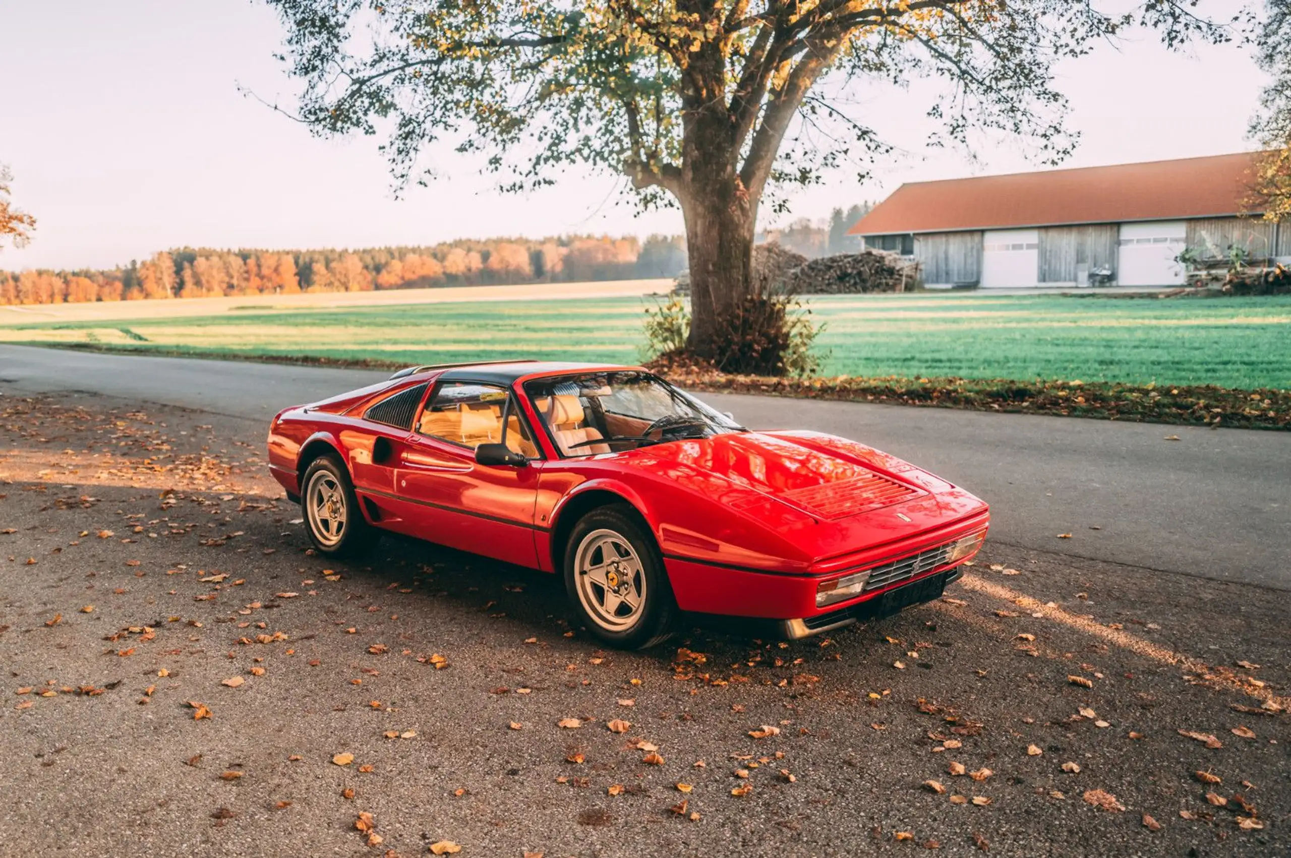 Ferrari - 208