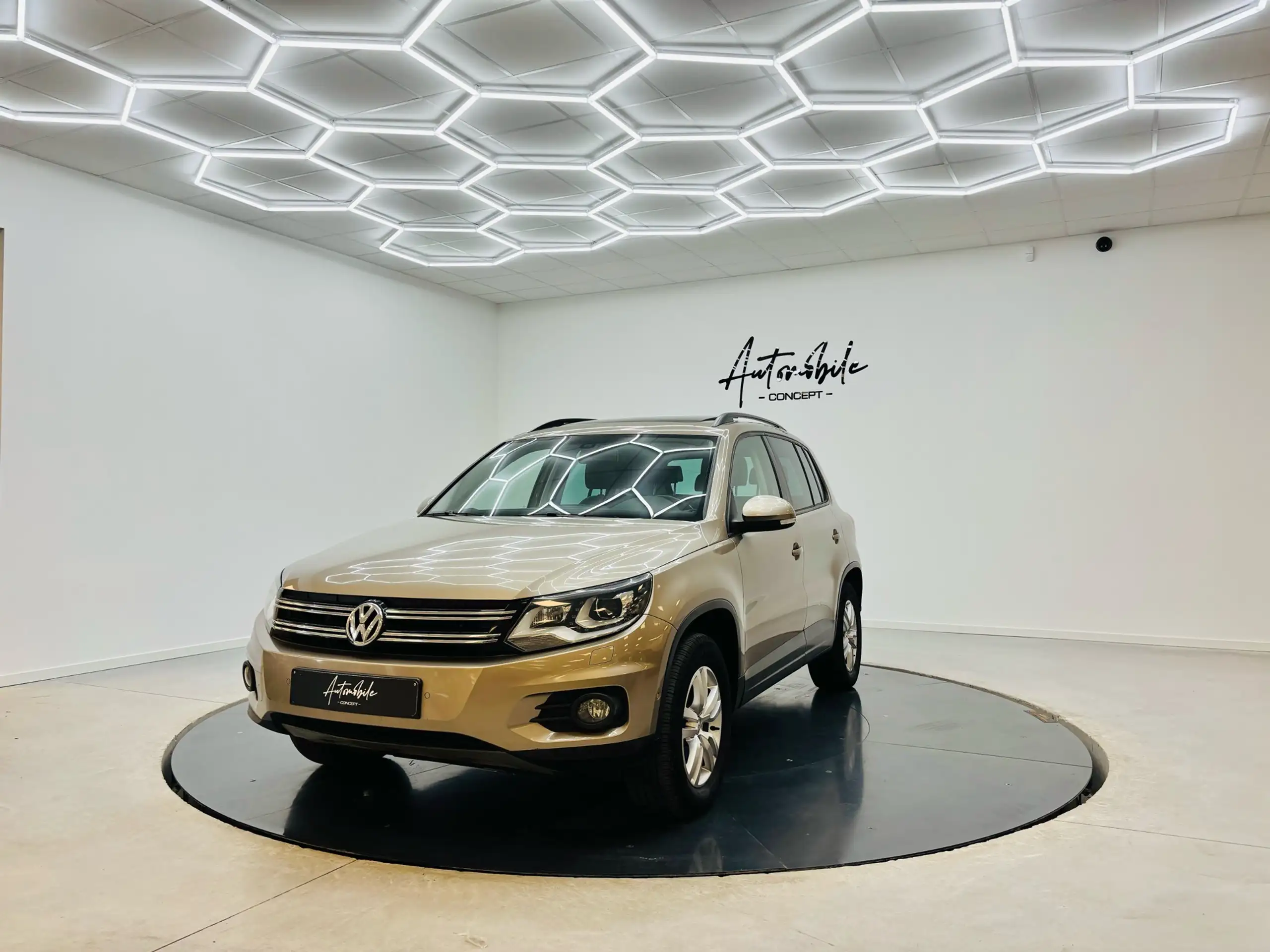 Volkswagen - Tiguan