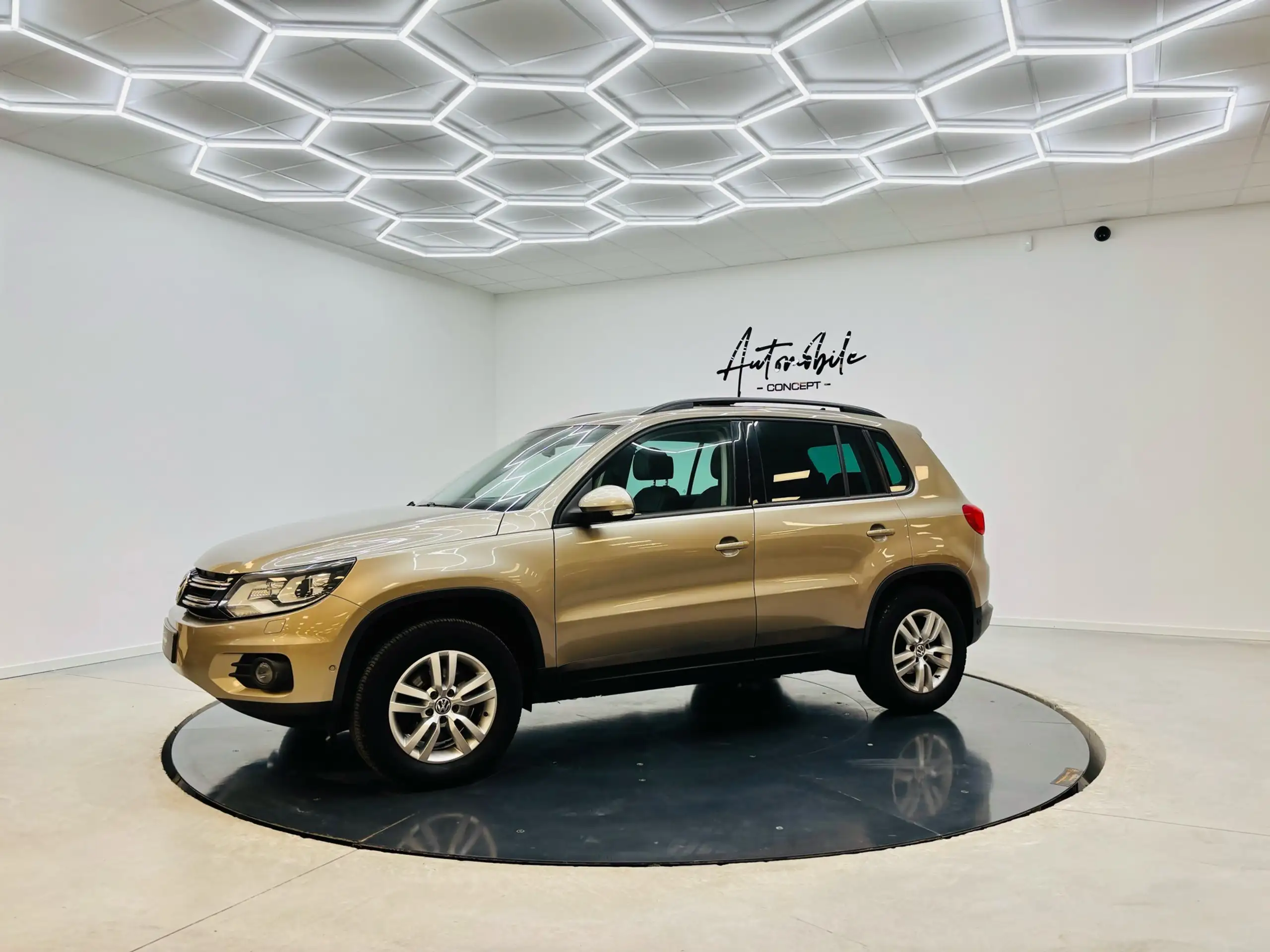 Volkswagen - Tiguan