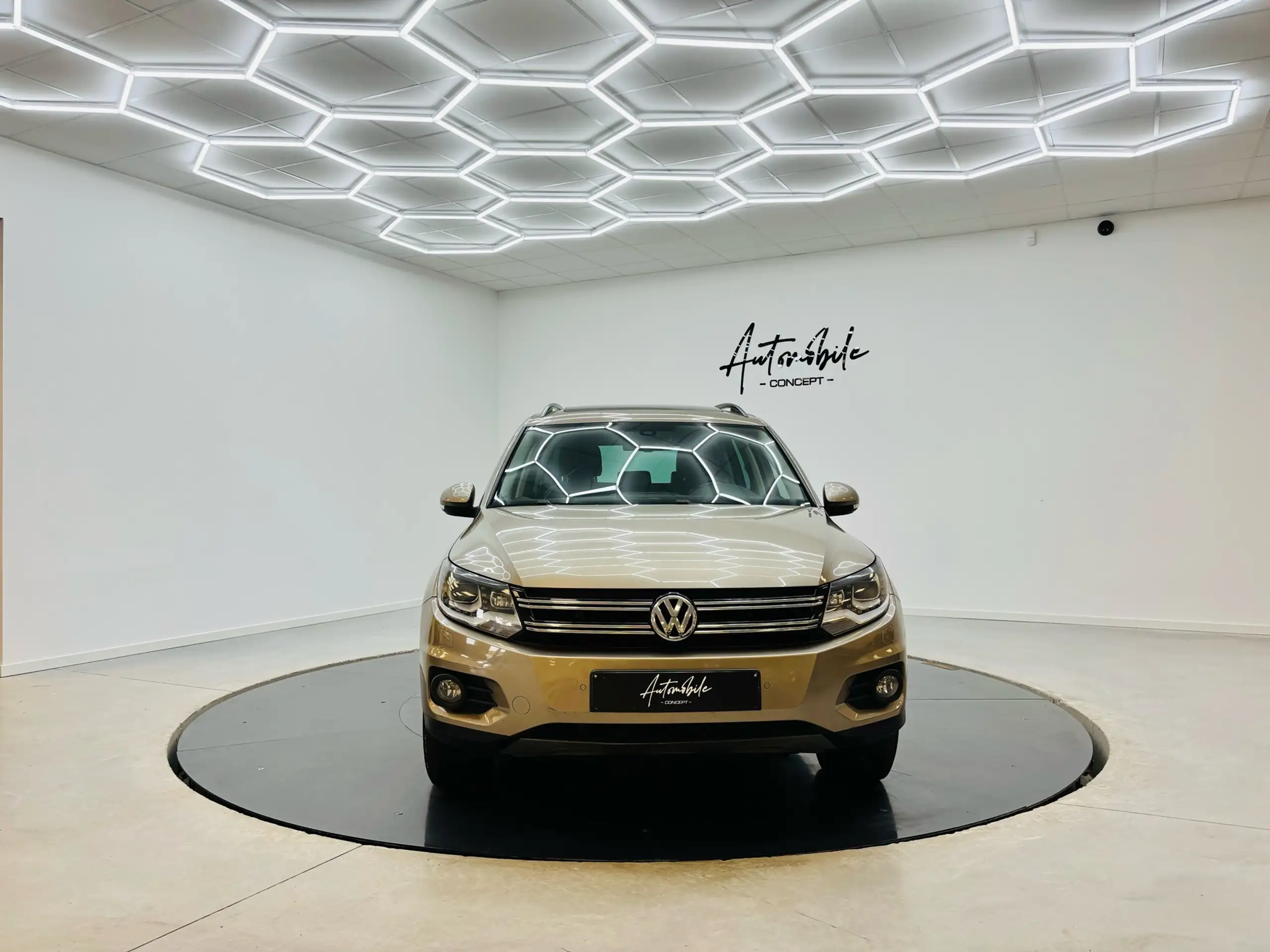 Volkswagen - Tiguan