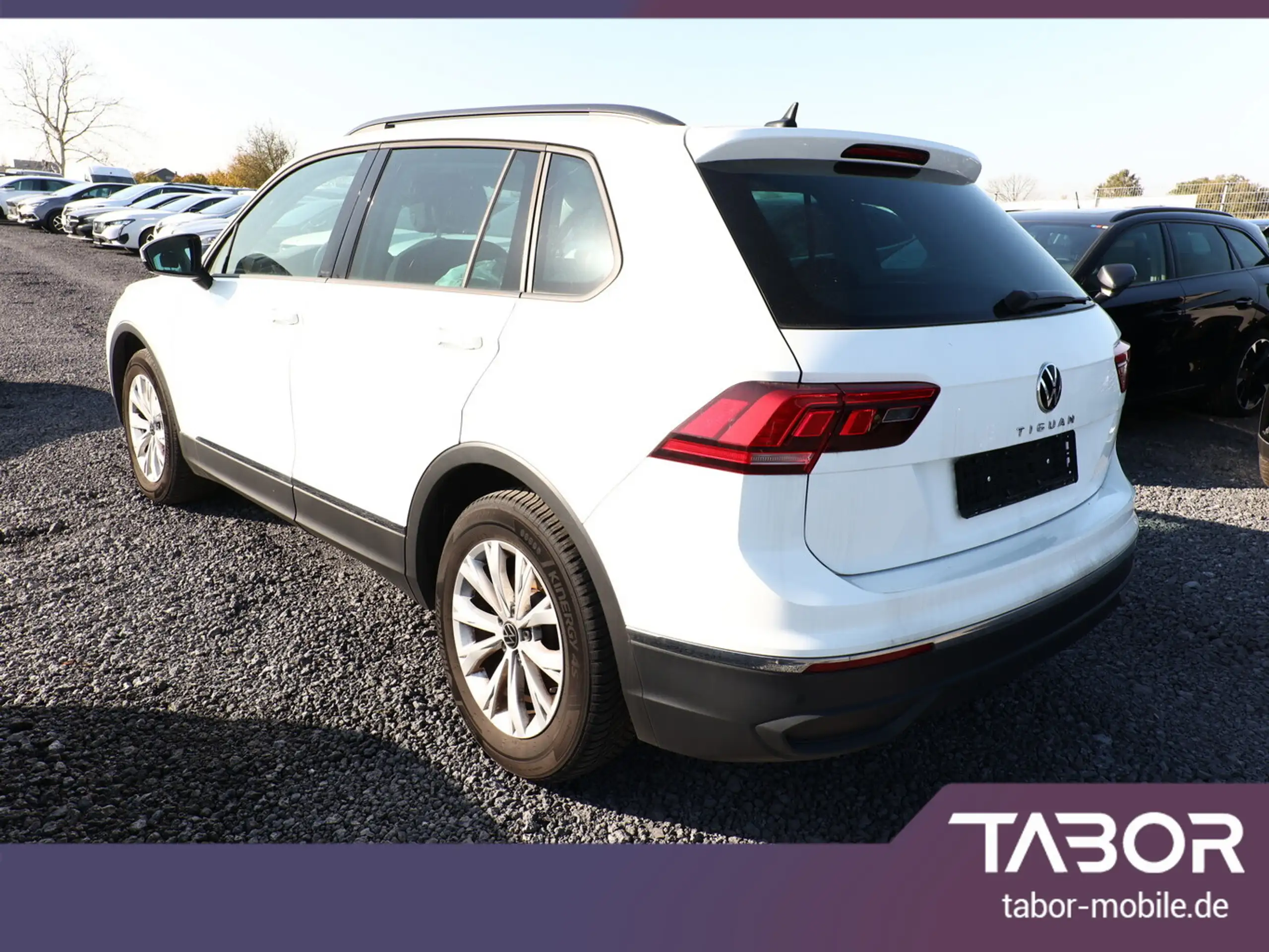 Volkswagen - Tiguan