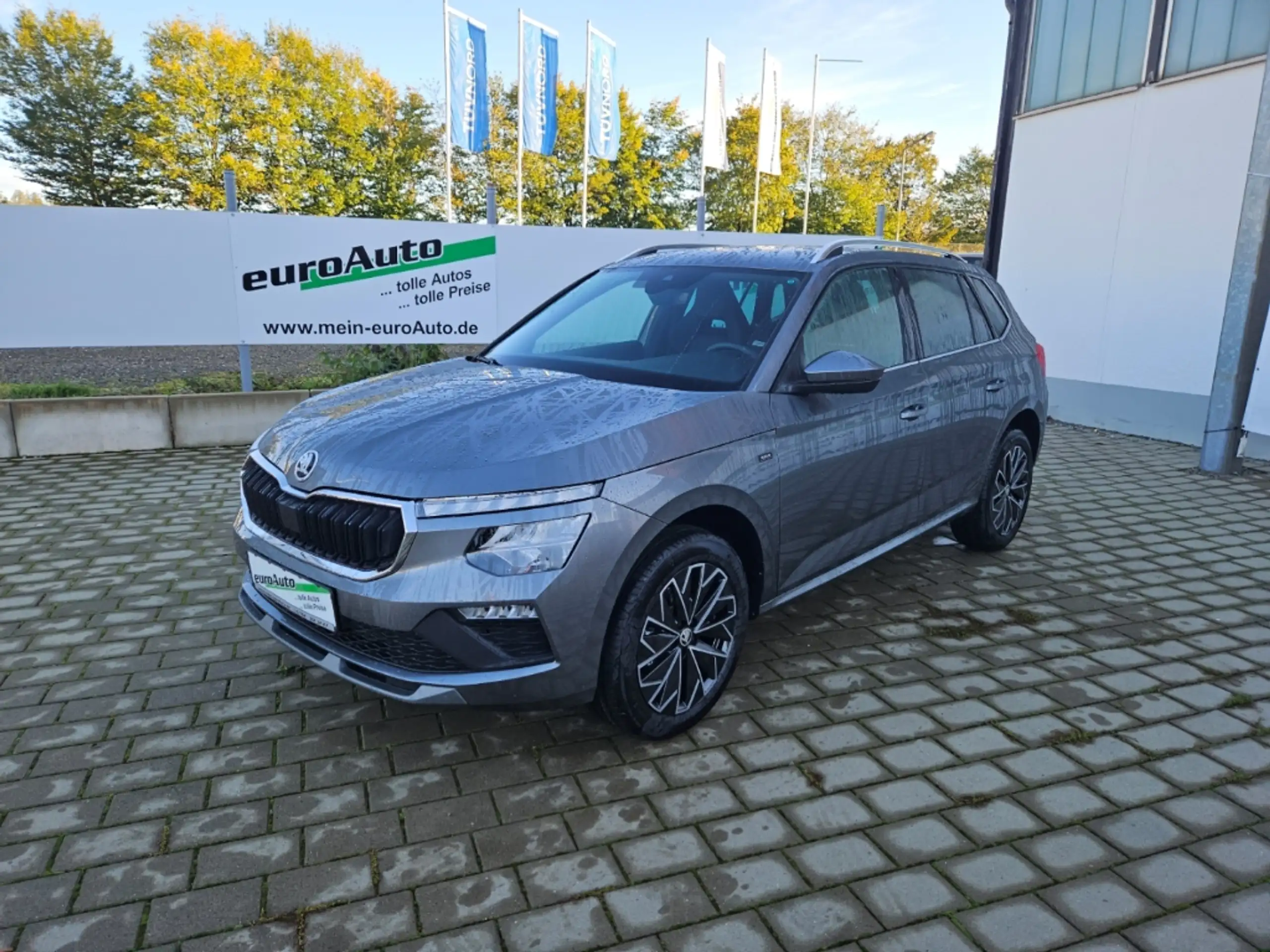 Skoda Kamiq 2017