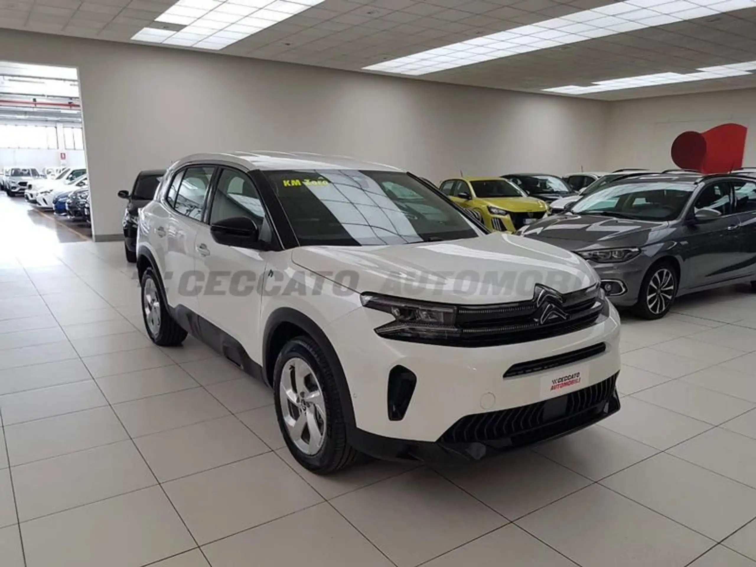 Citroen - C5 Aircross