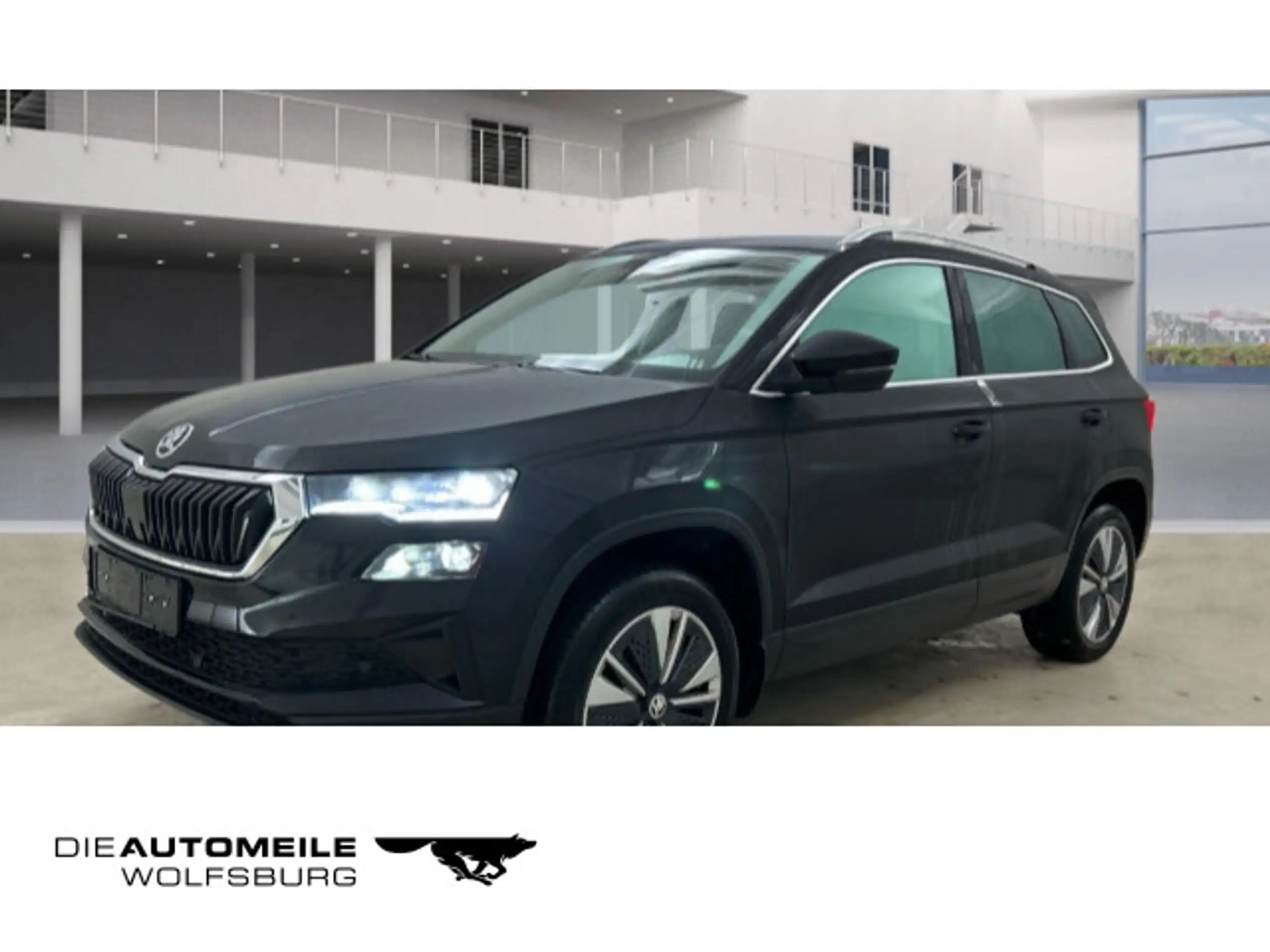 Skoda - Karoq