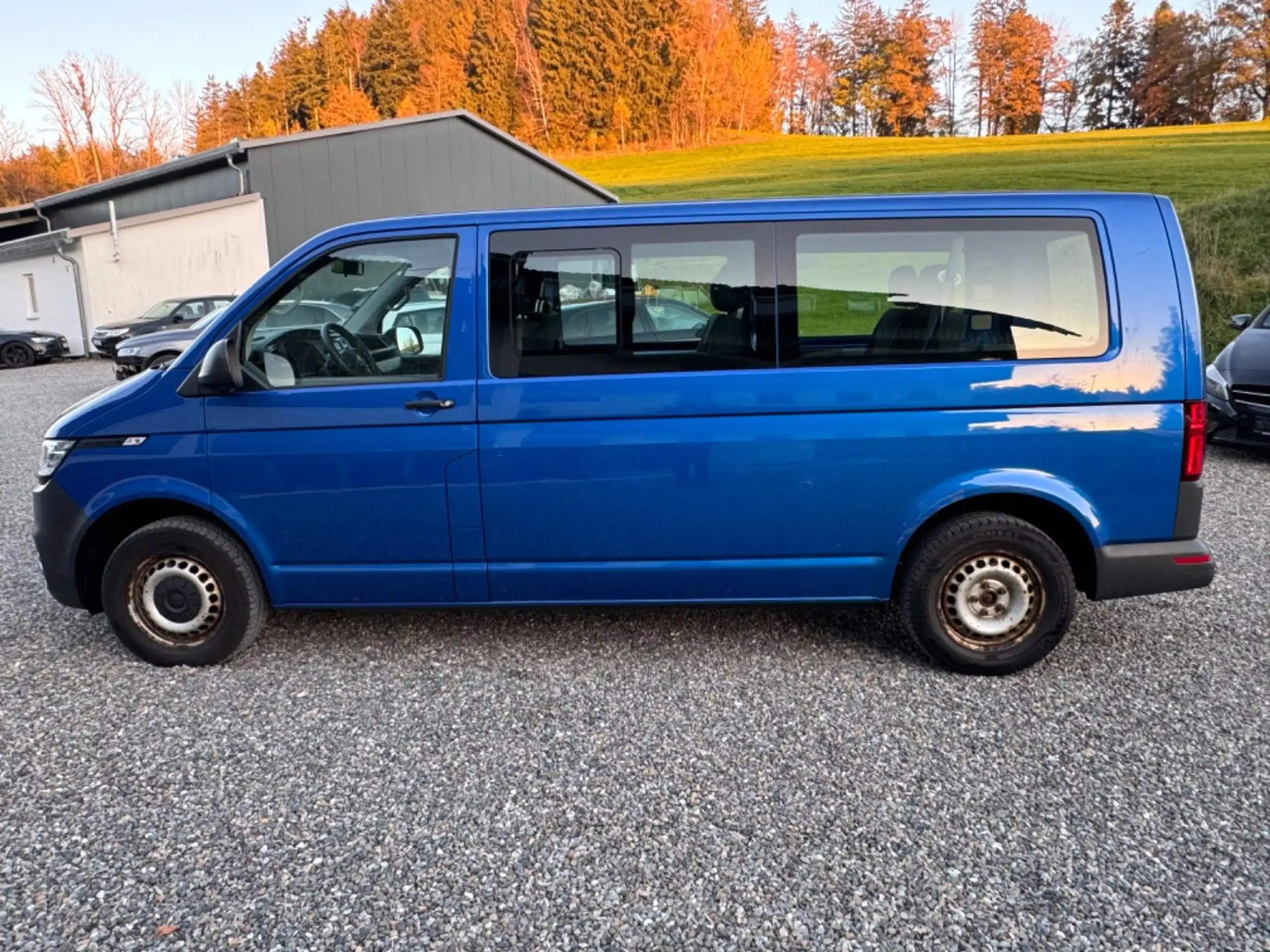 Volkswagen - T6 Transporter