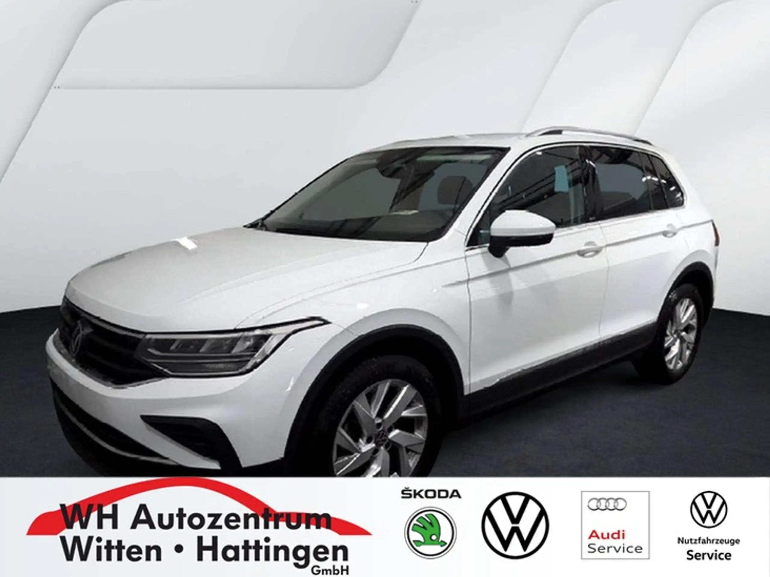 Volkswagen - Tiguan