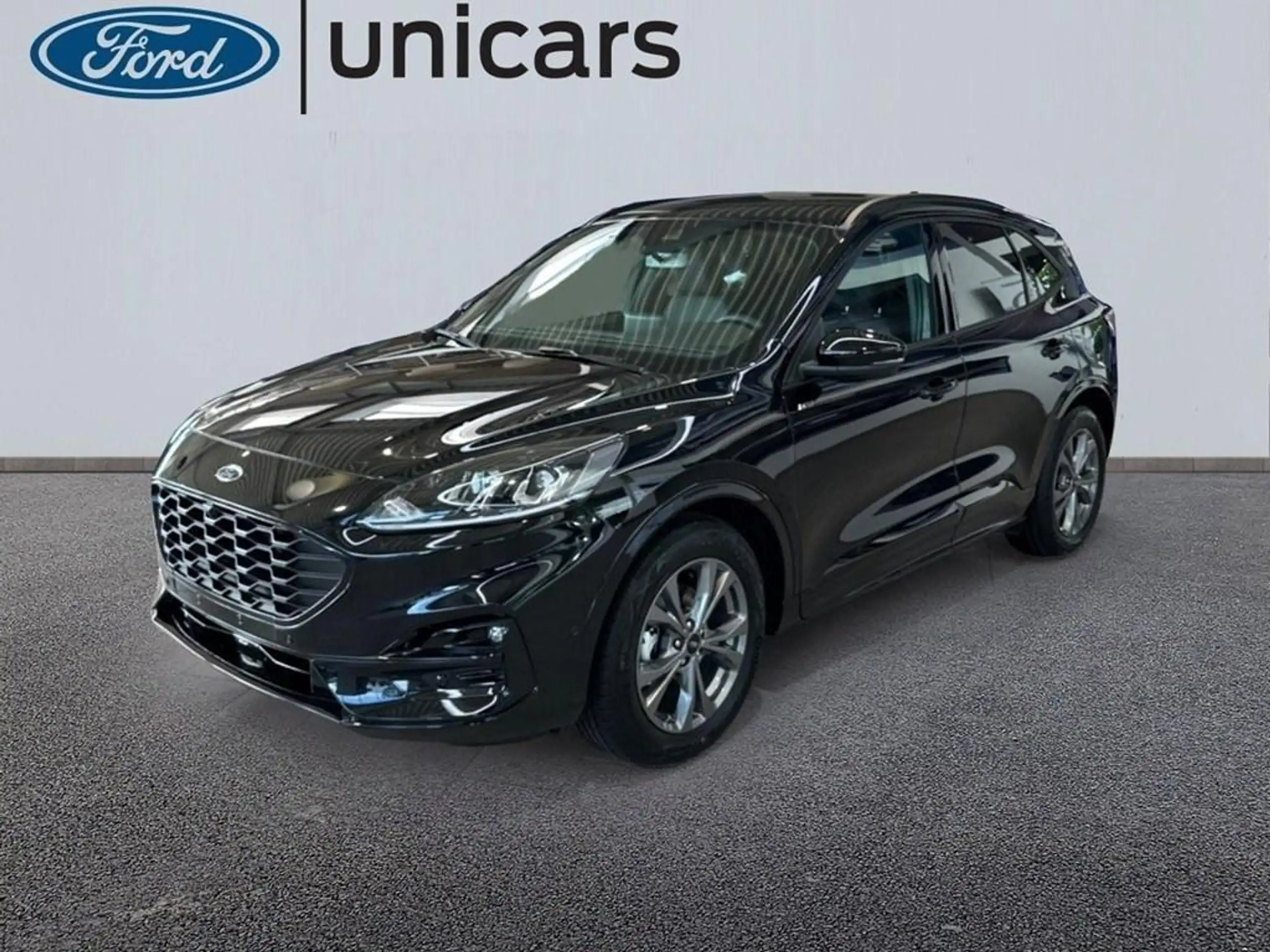 Ford - Kuga