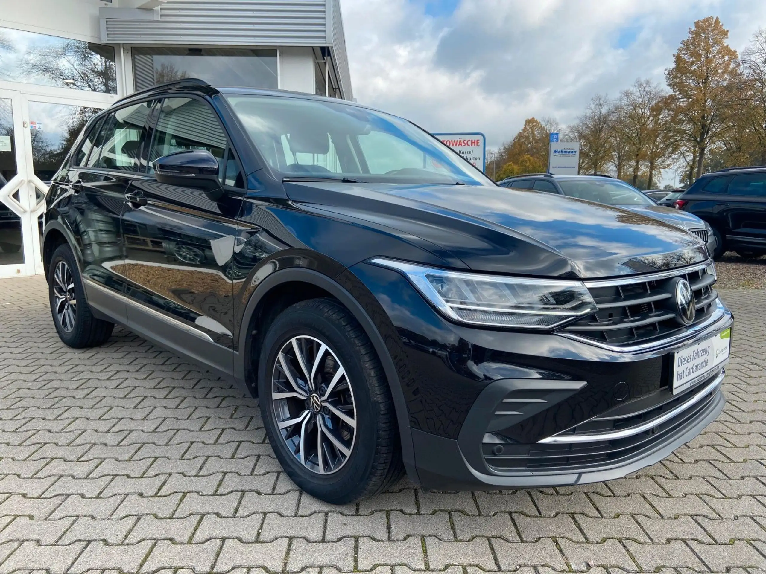 Volkswagen - Tiguan