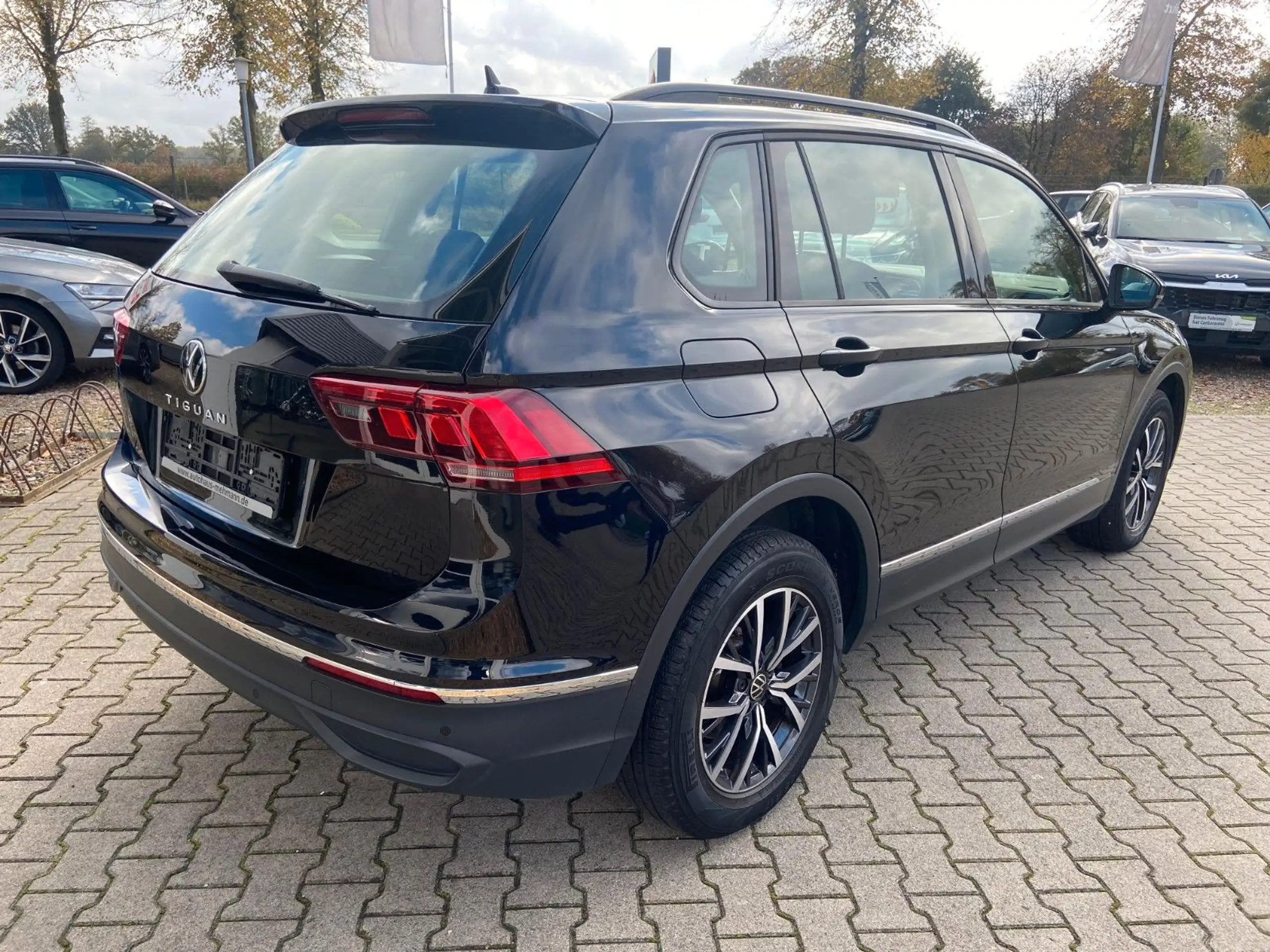 Volkswagen - Tiguan