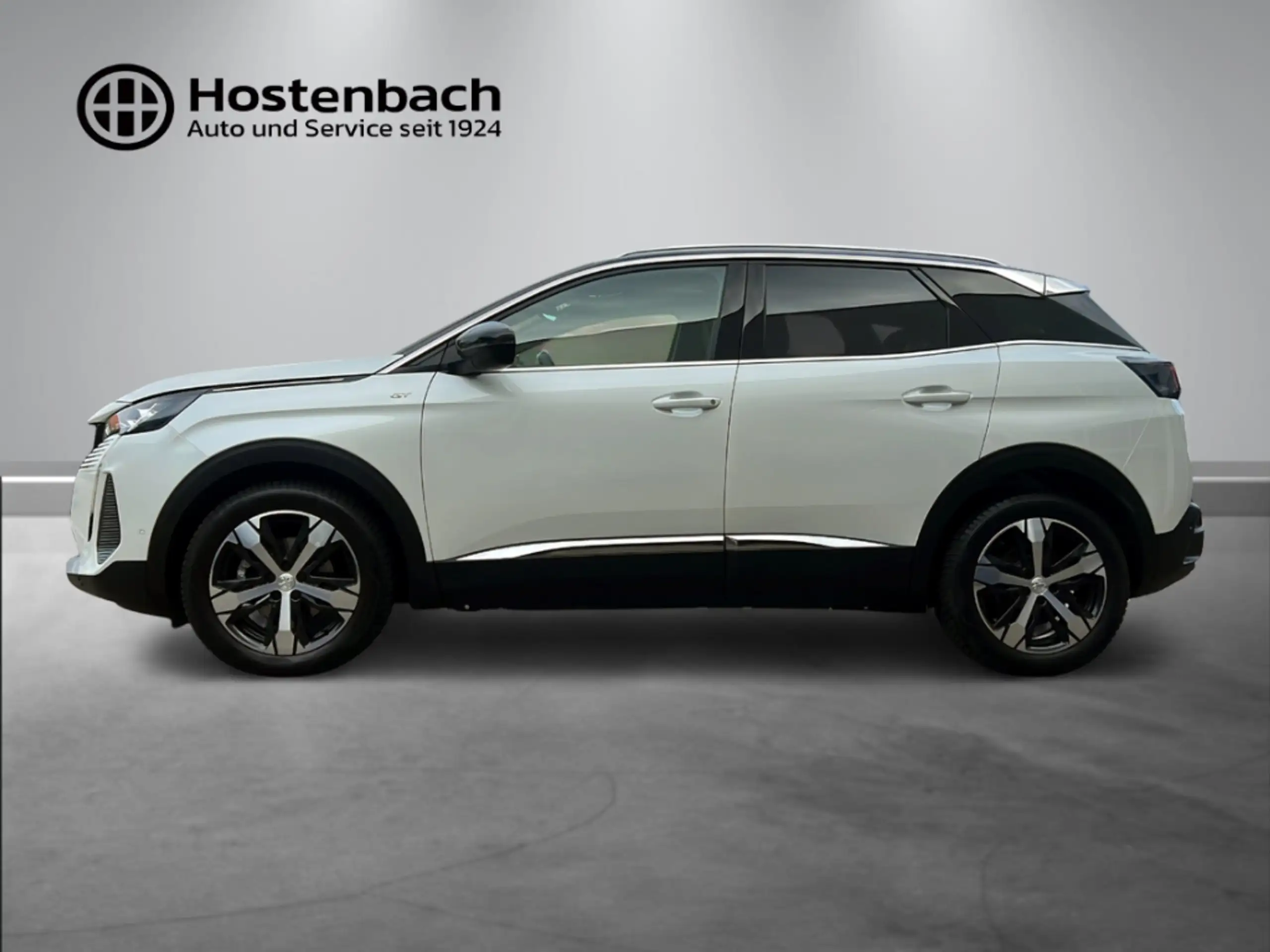 Peugeot - 3008