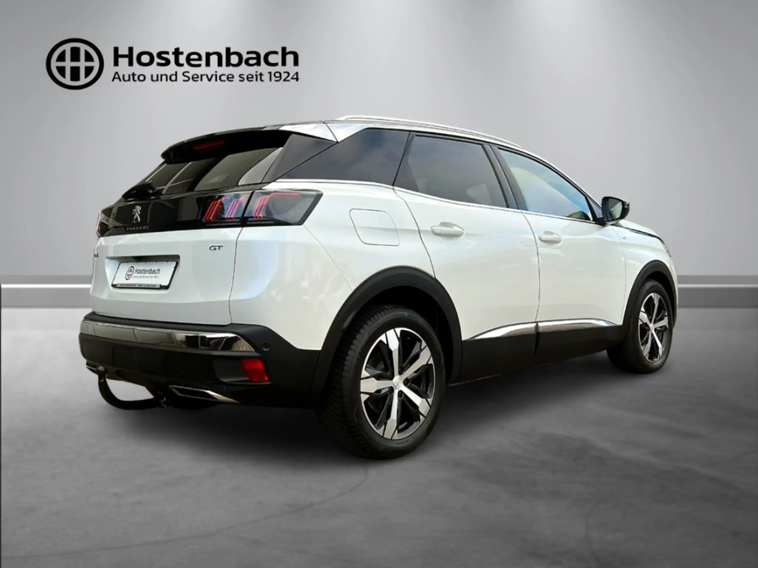 Peugeot - 3008