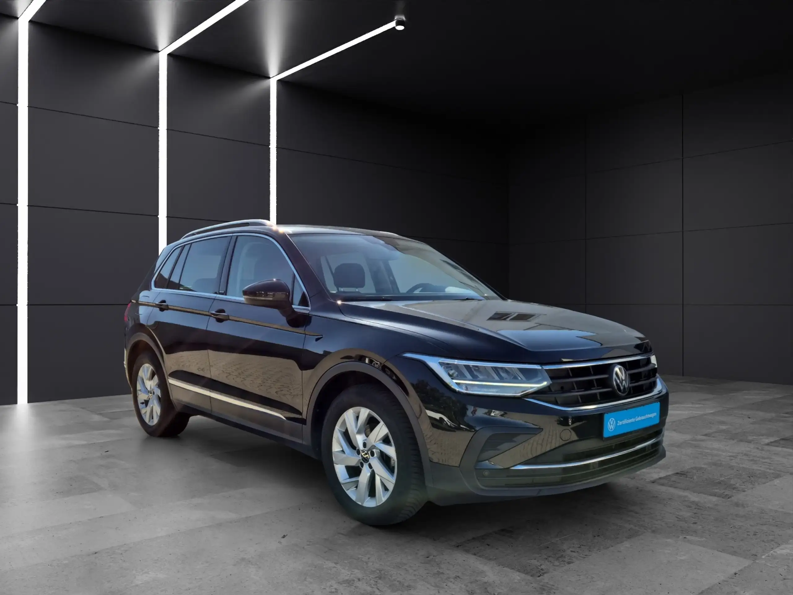 Volkswagen - Tiguan