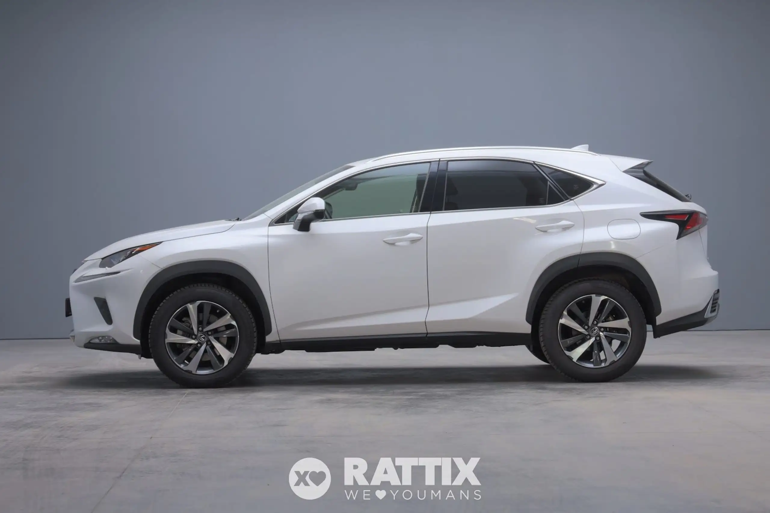 Lexus - NX 300h