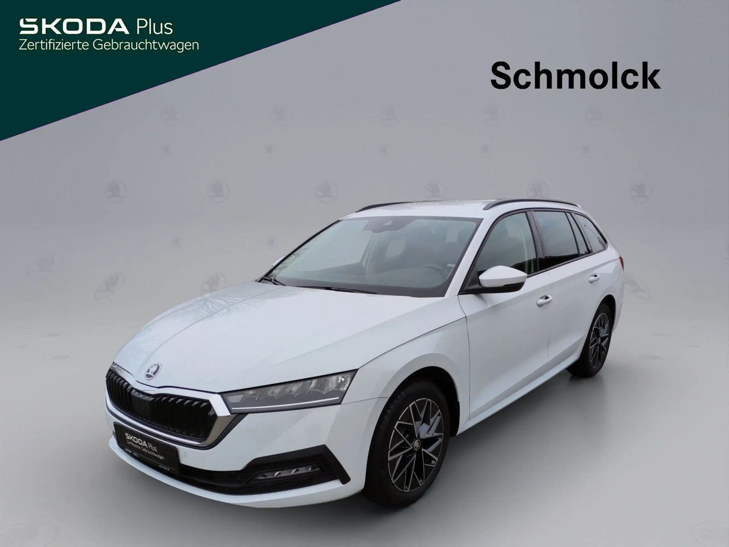 Skoda - Octavia