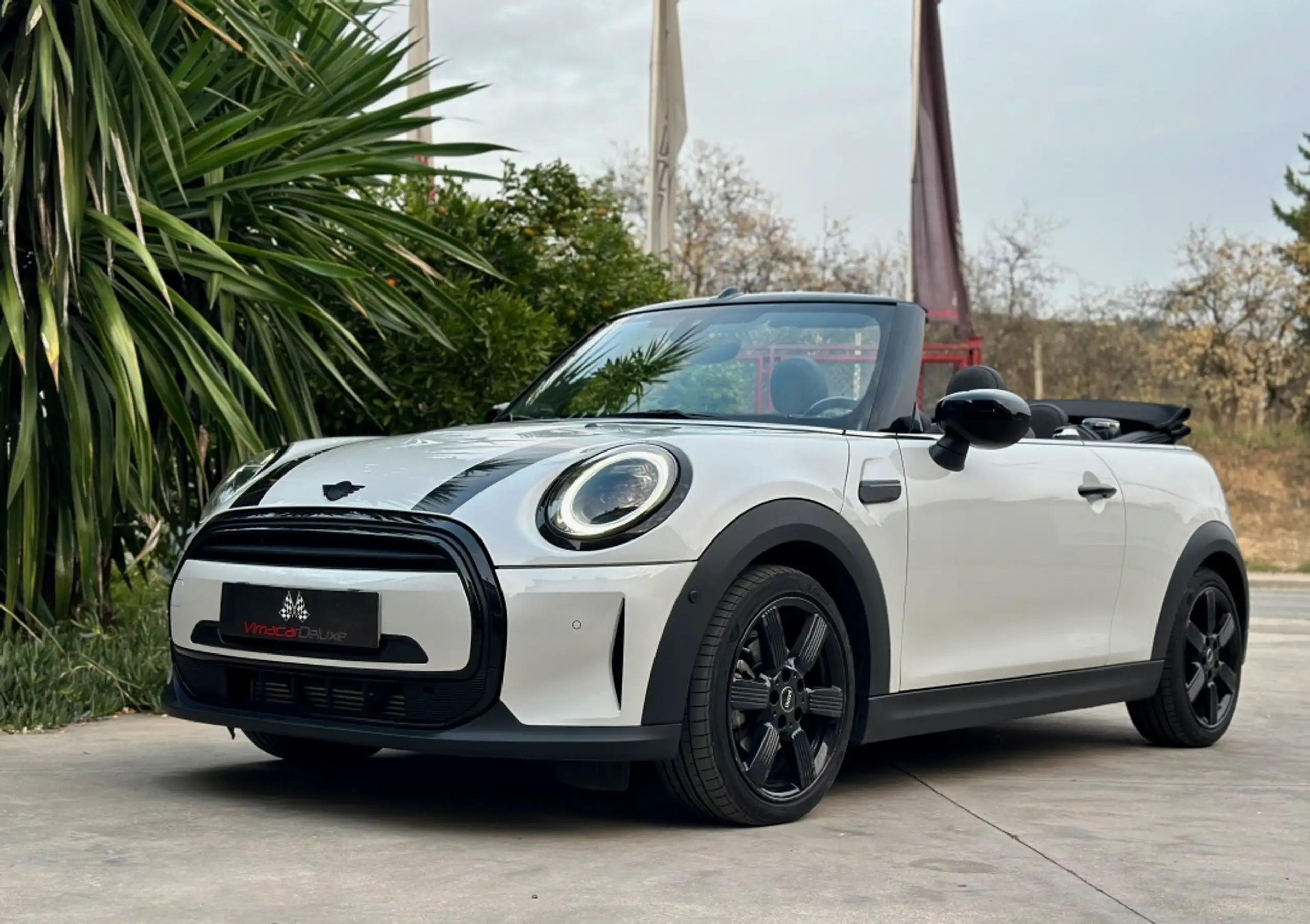 MINI - Cooper Cabrio