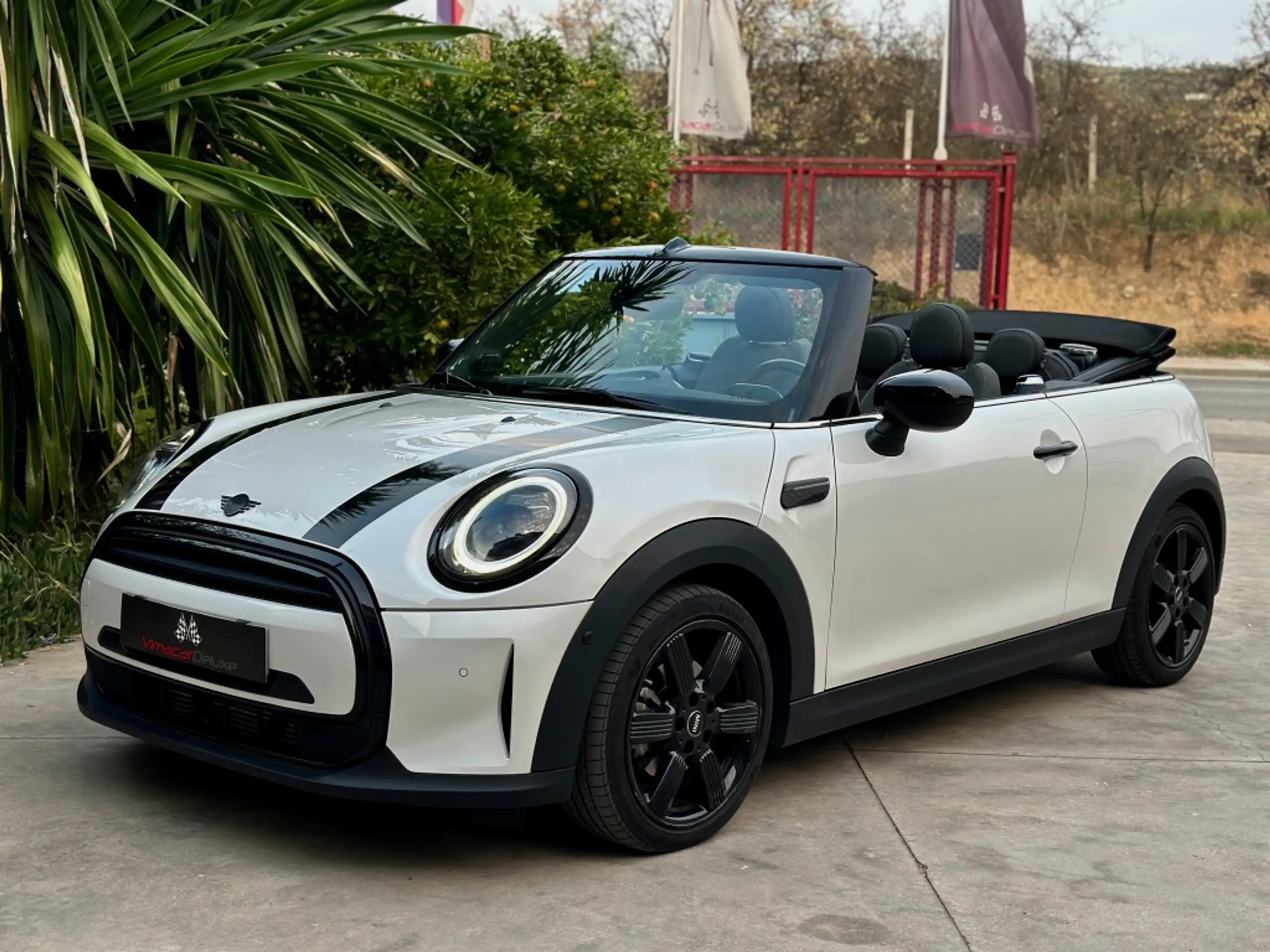 MINI - Cooper Cabrio