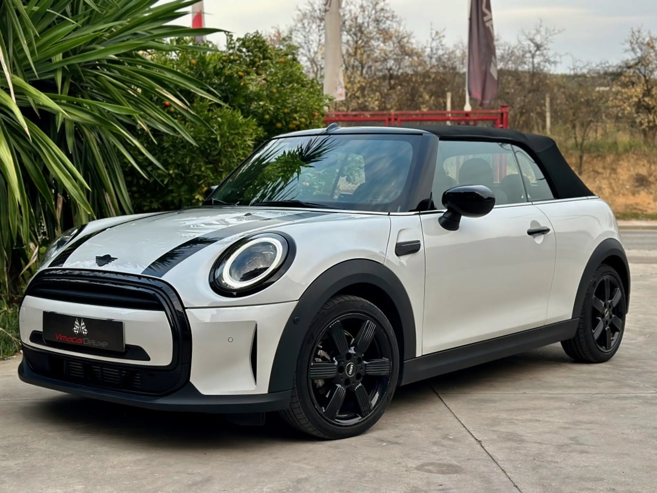 MINI - Cooper Cabrio