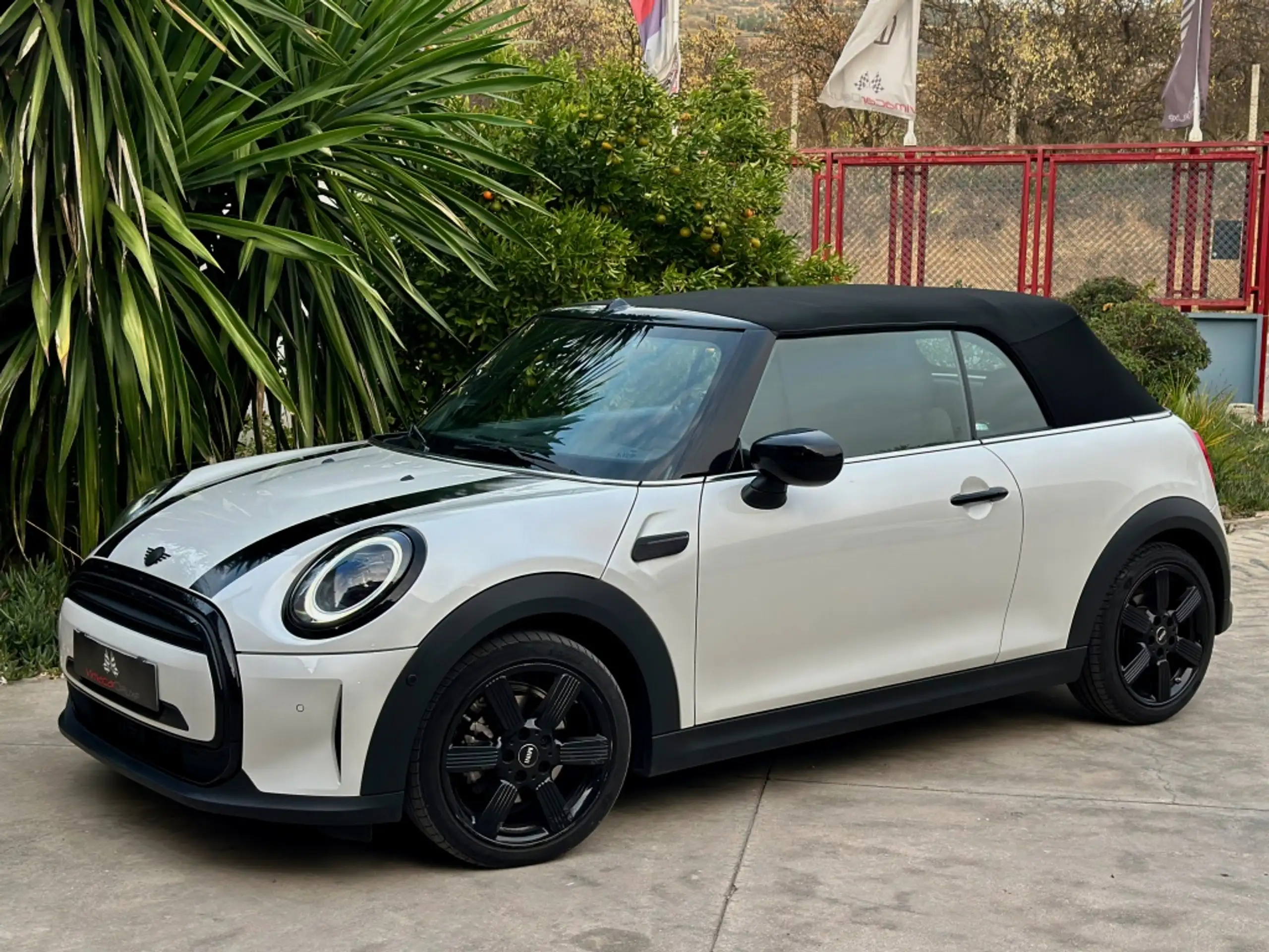 MINI - Cooper Cabrio