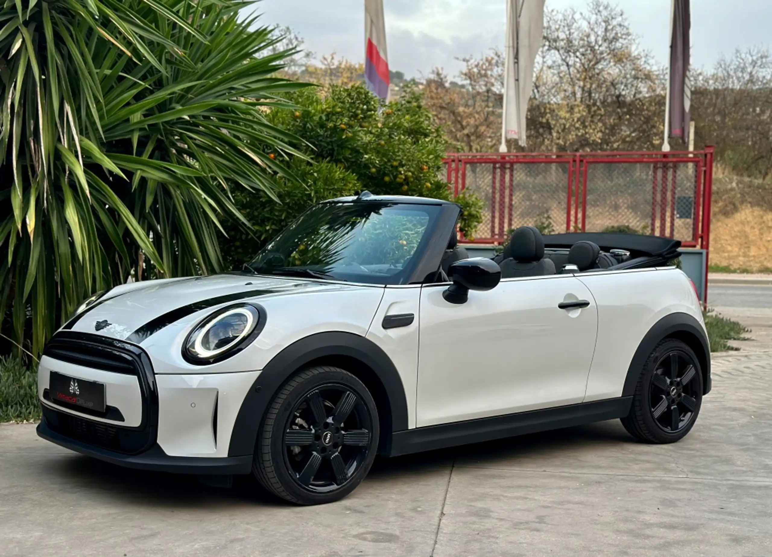 MINI - Cooper Cabrio