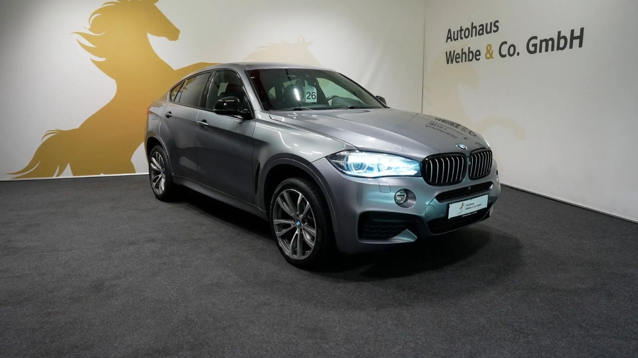 BMW - X6