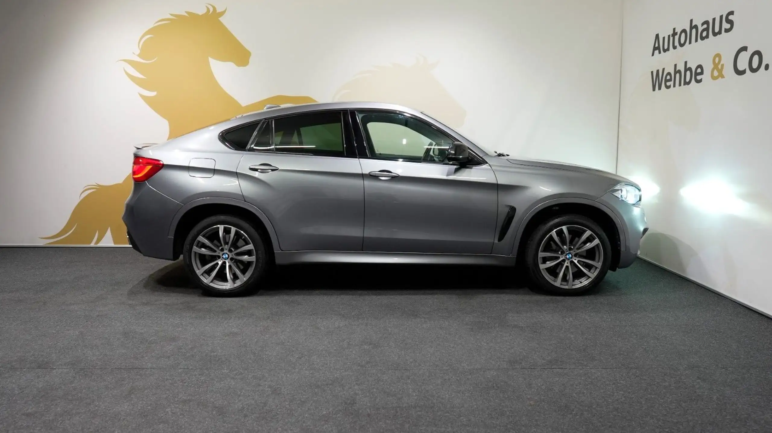 BMW - X6