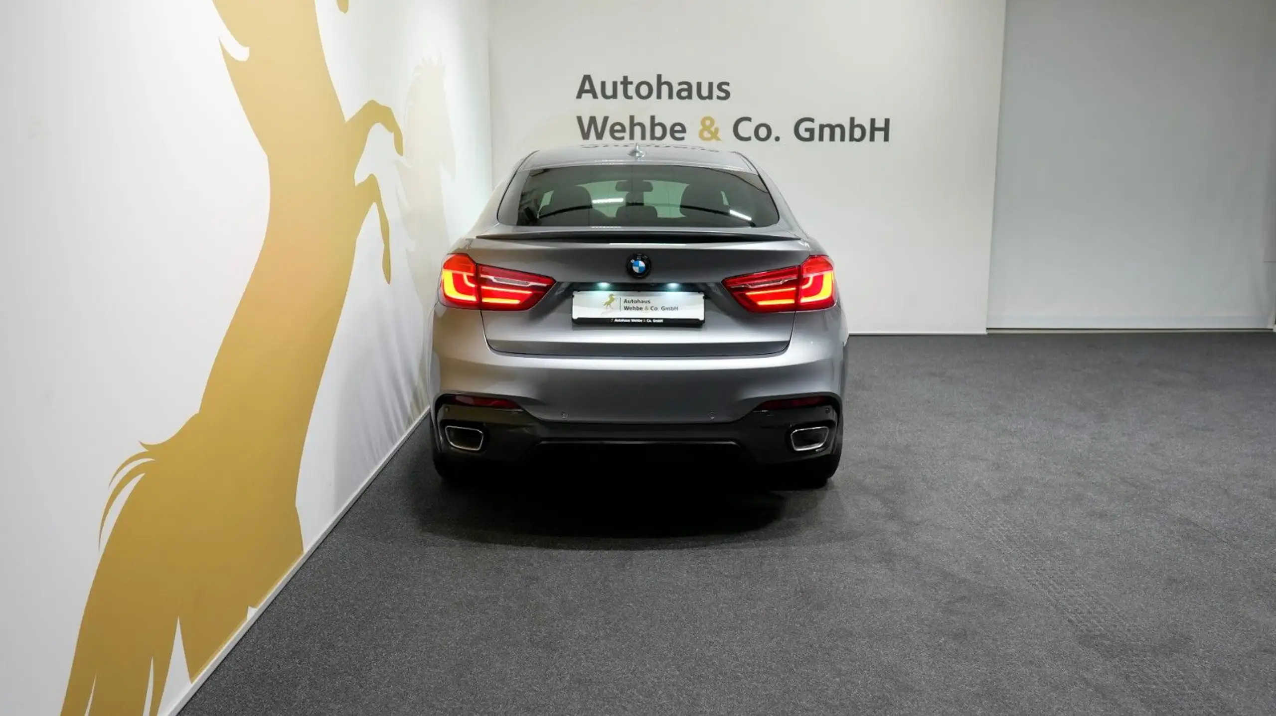 BMW - X6