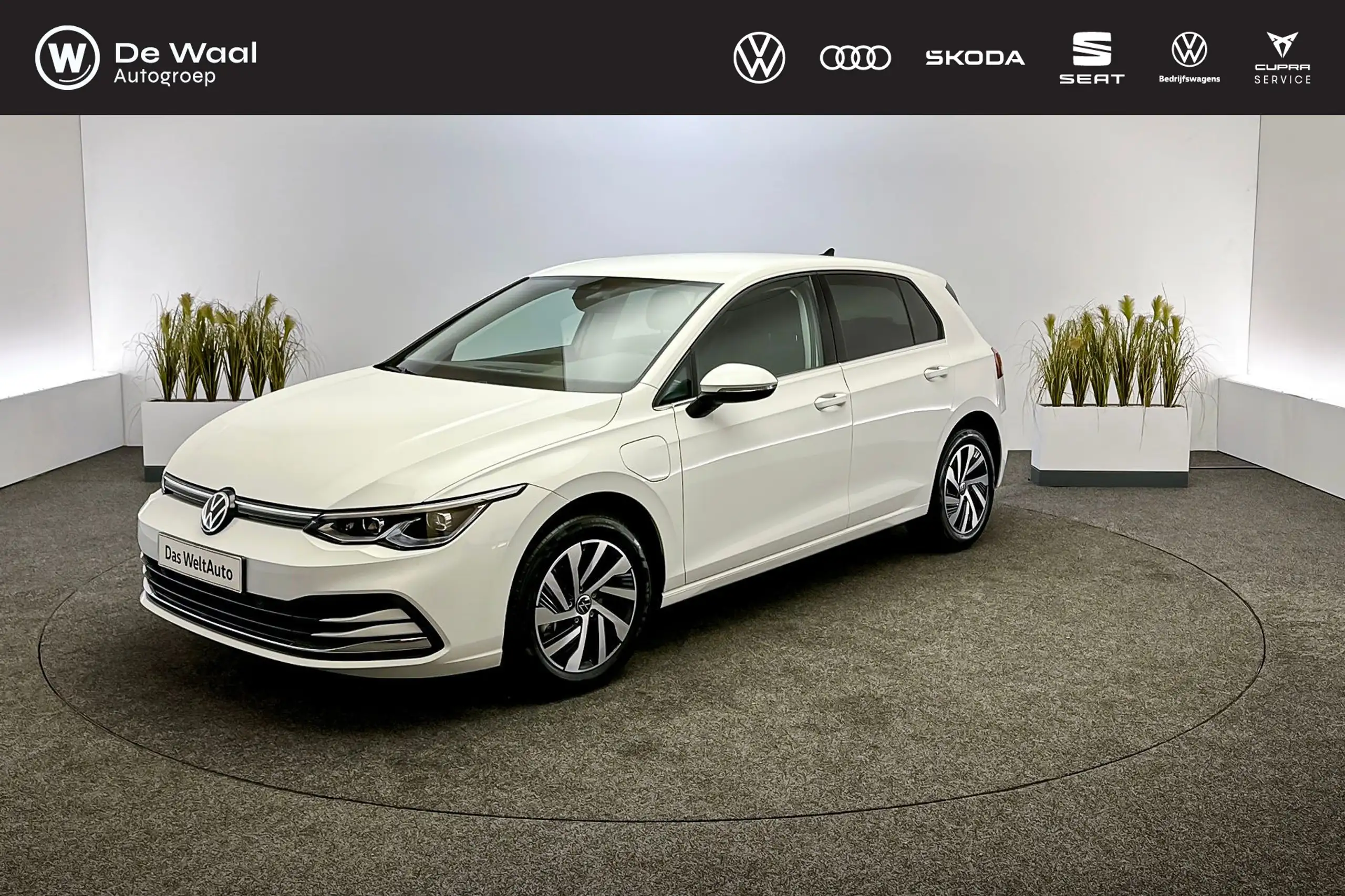 Volkswagen - Golf