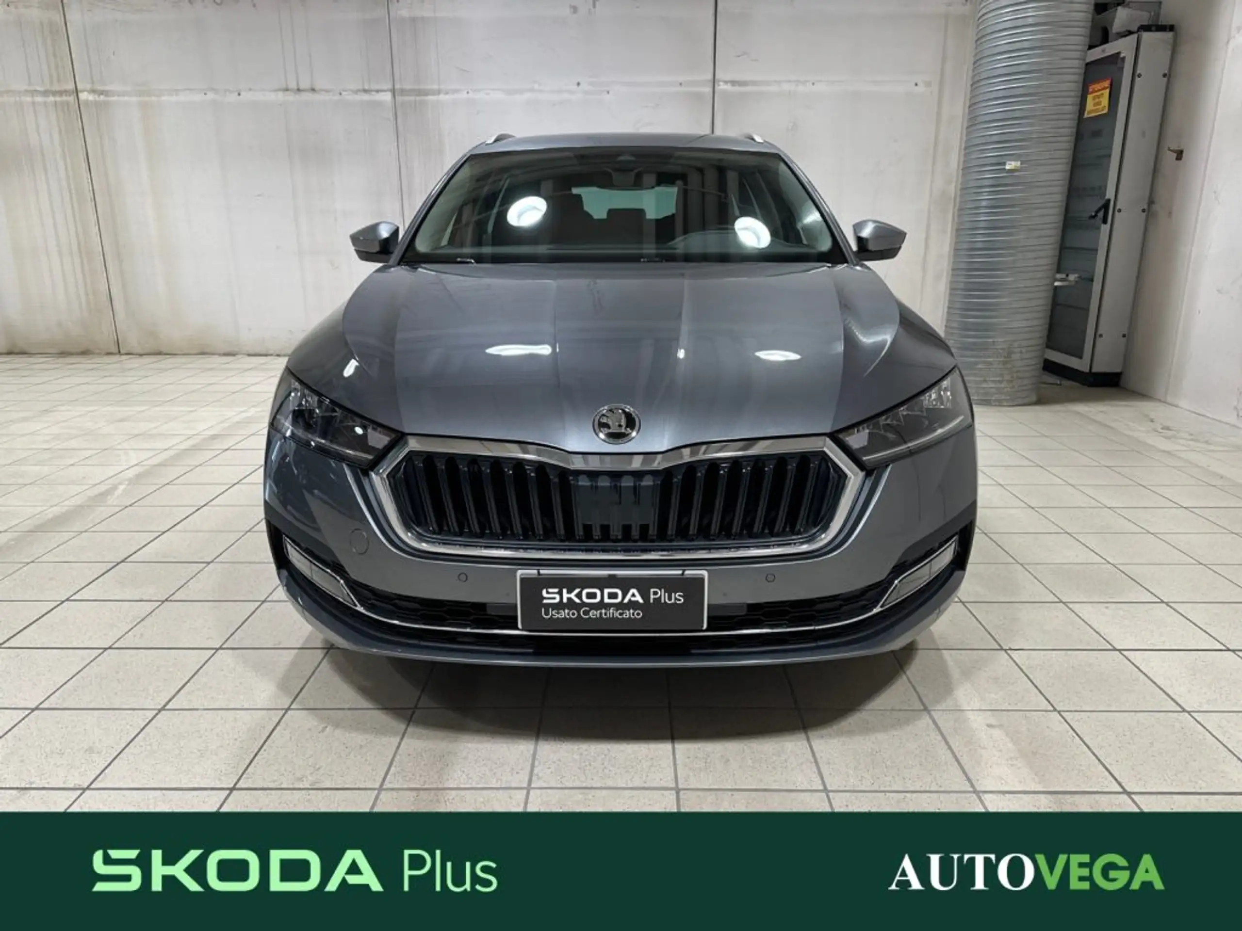 Skoda - Octavia