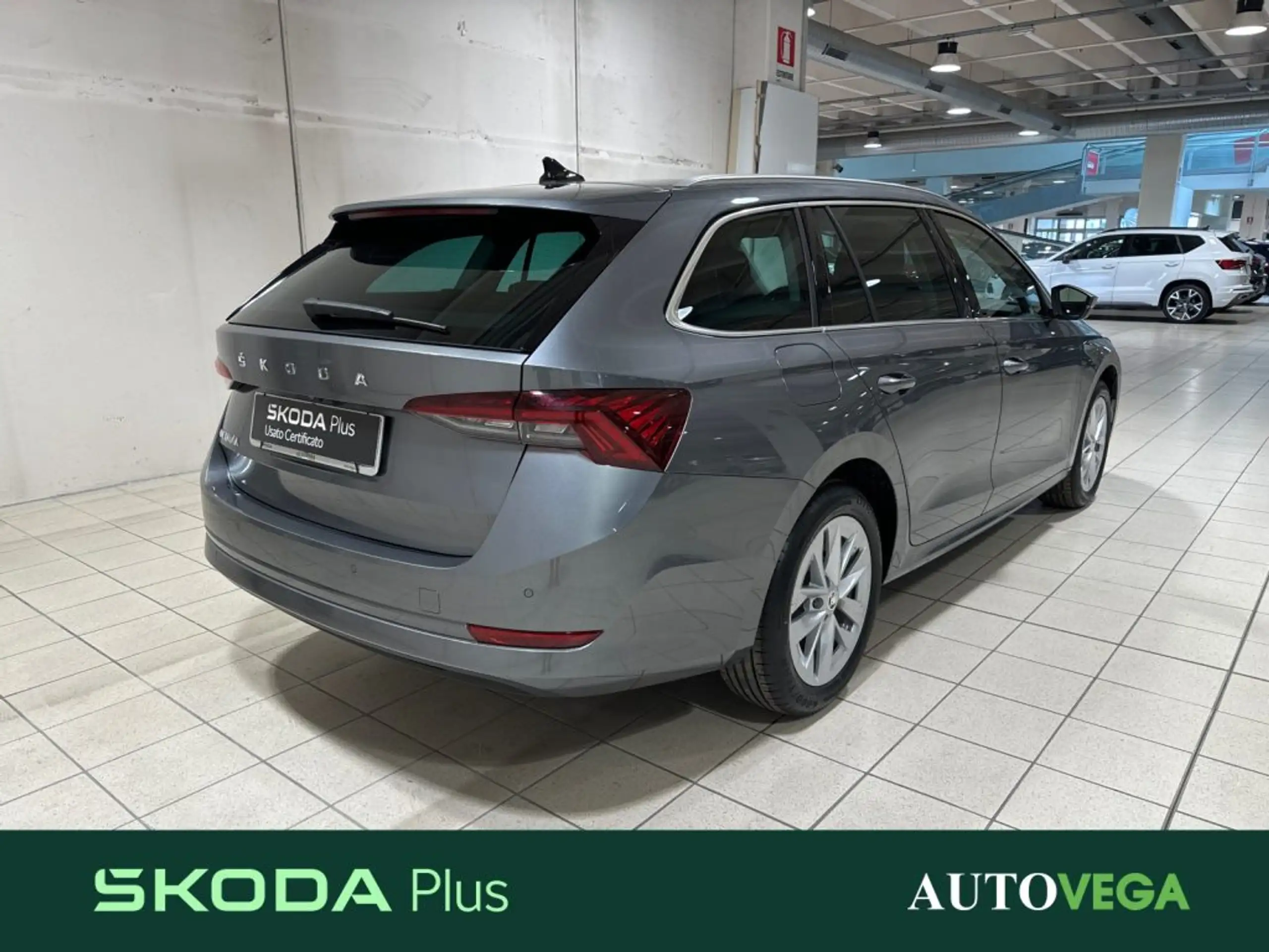 Skoda - Octavia