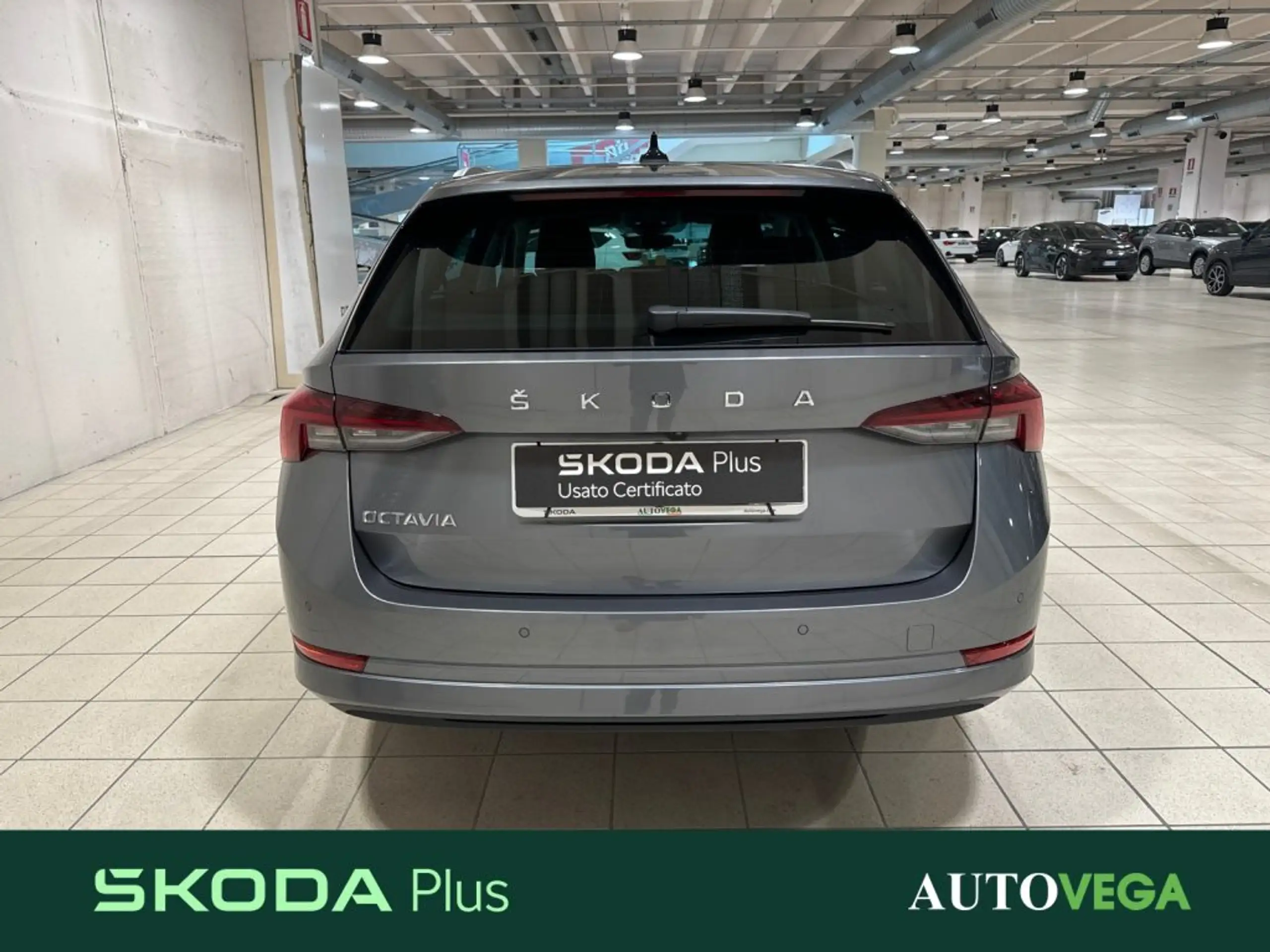 Skoda - Octavia