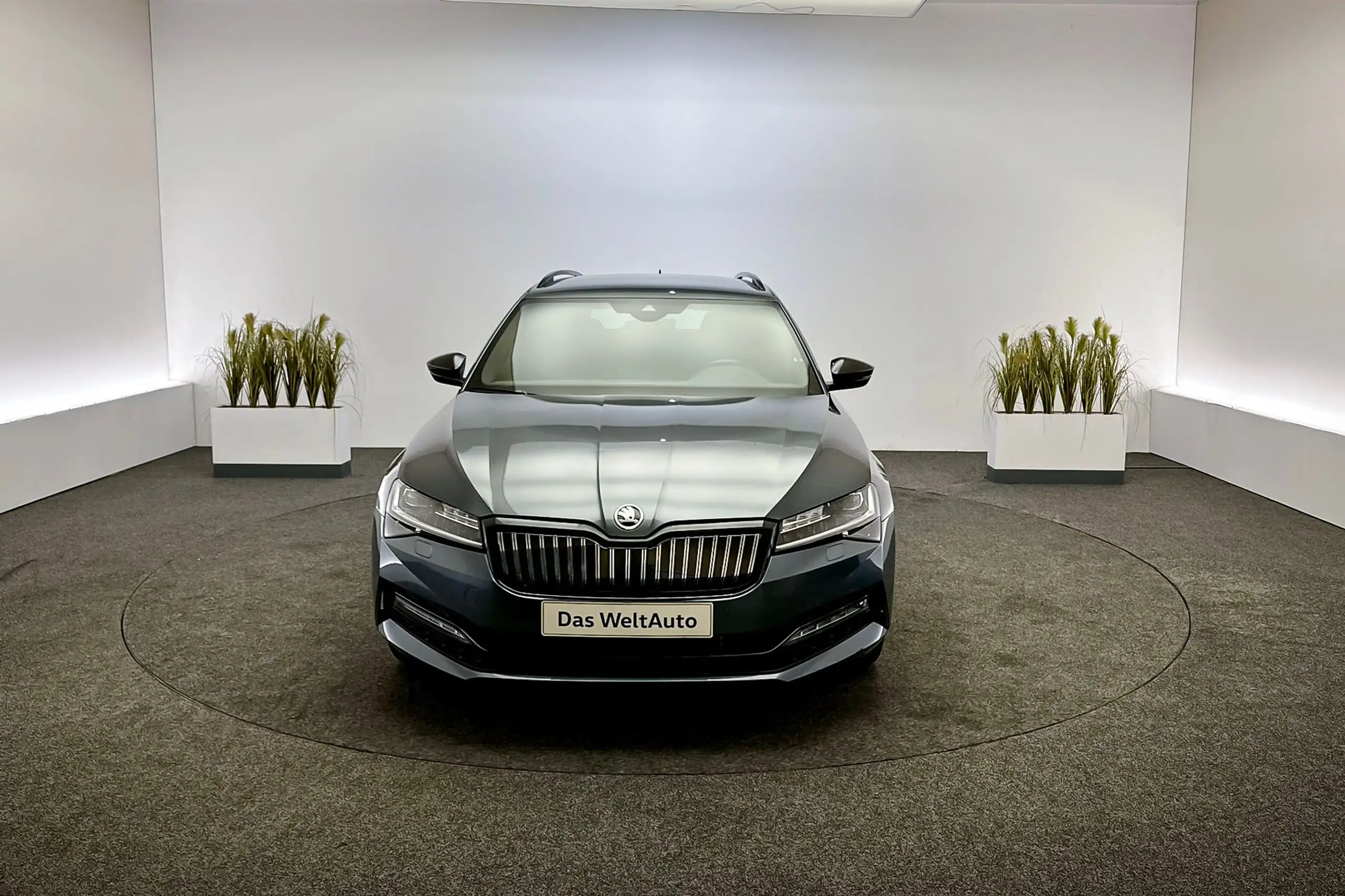 Skoda - Superb