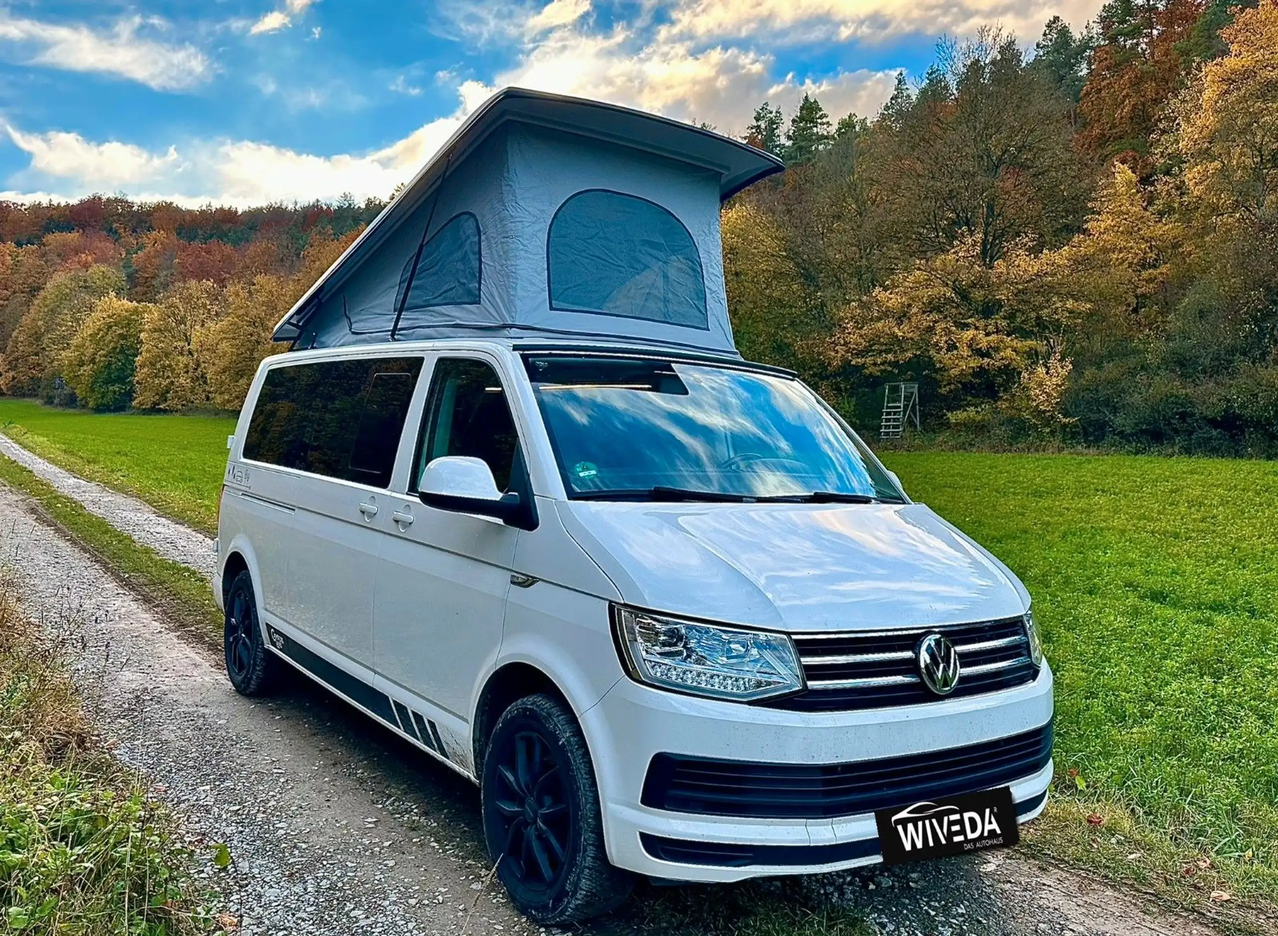 Volkswagen - T6 Caravelle