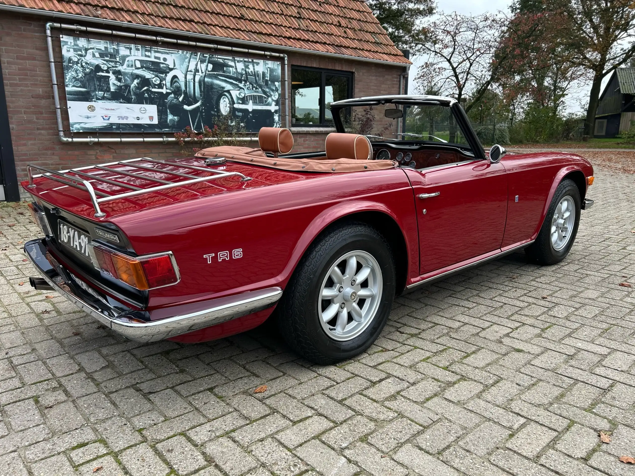 Triumph - TR6