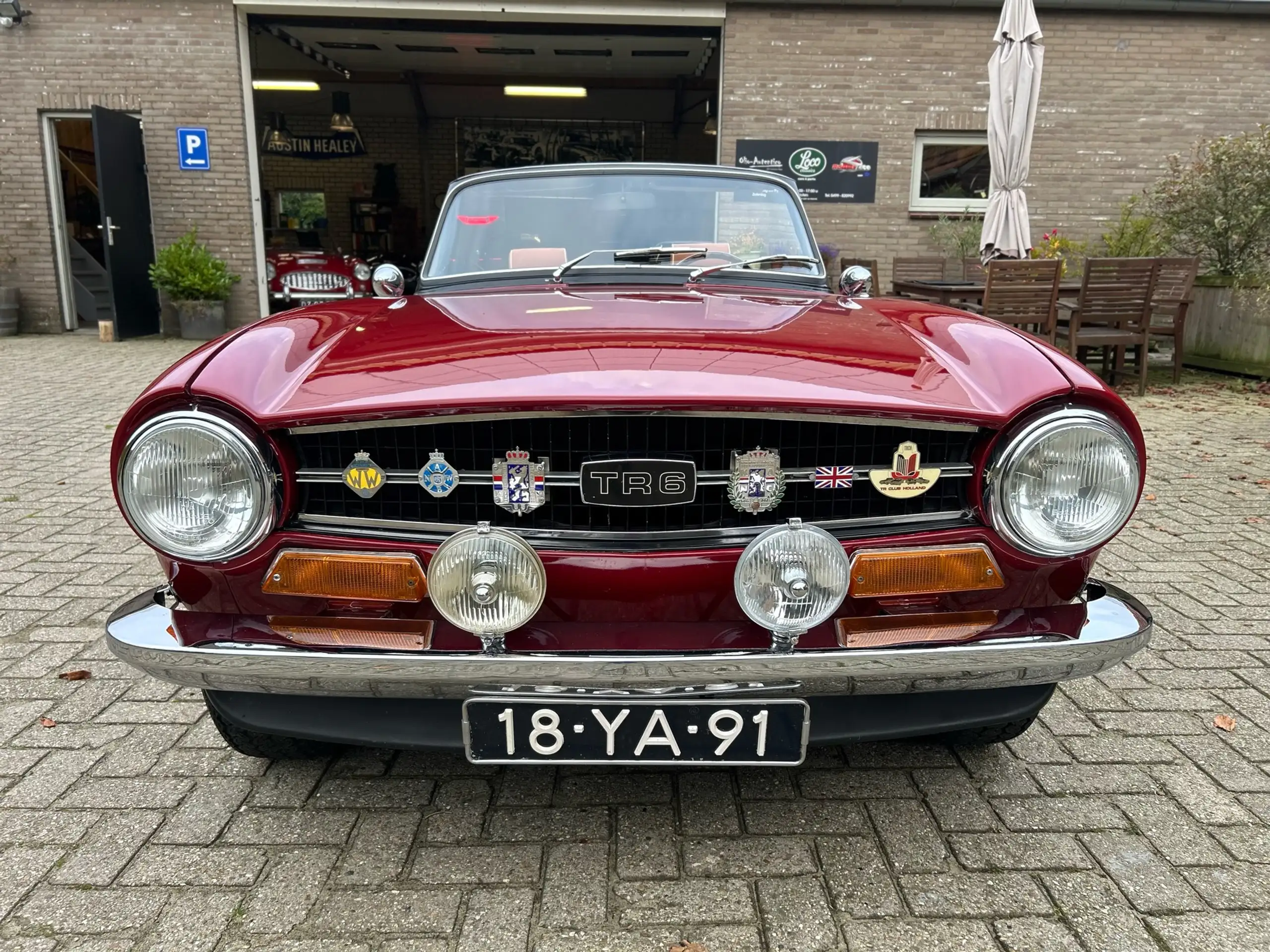 Triumph - TR6