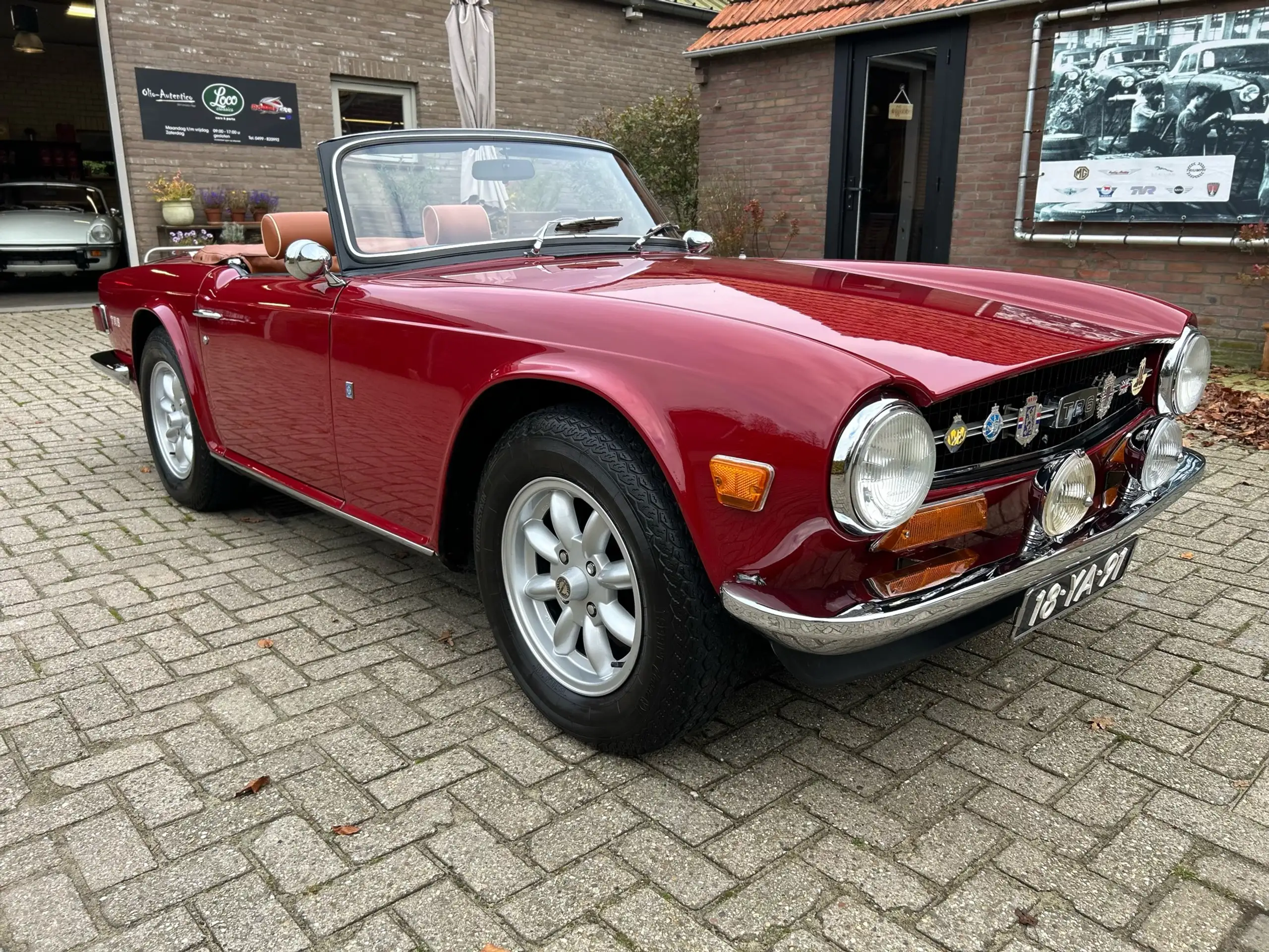 Triumph - TR6