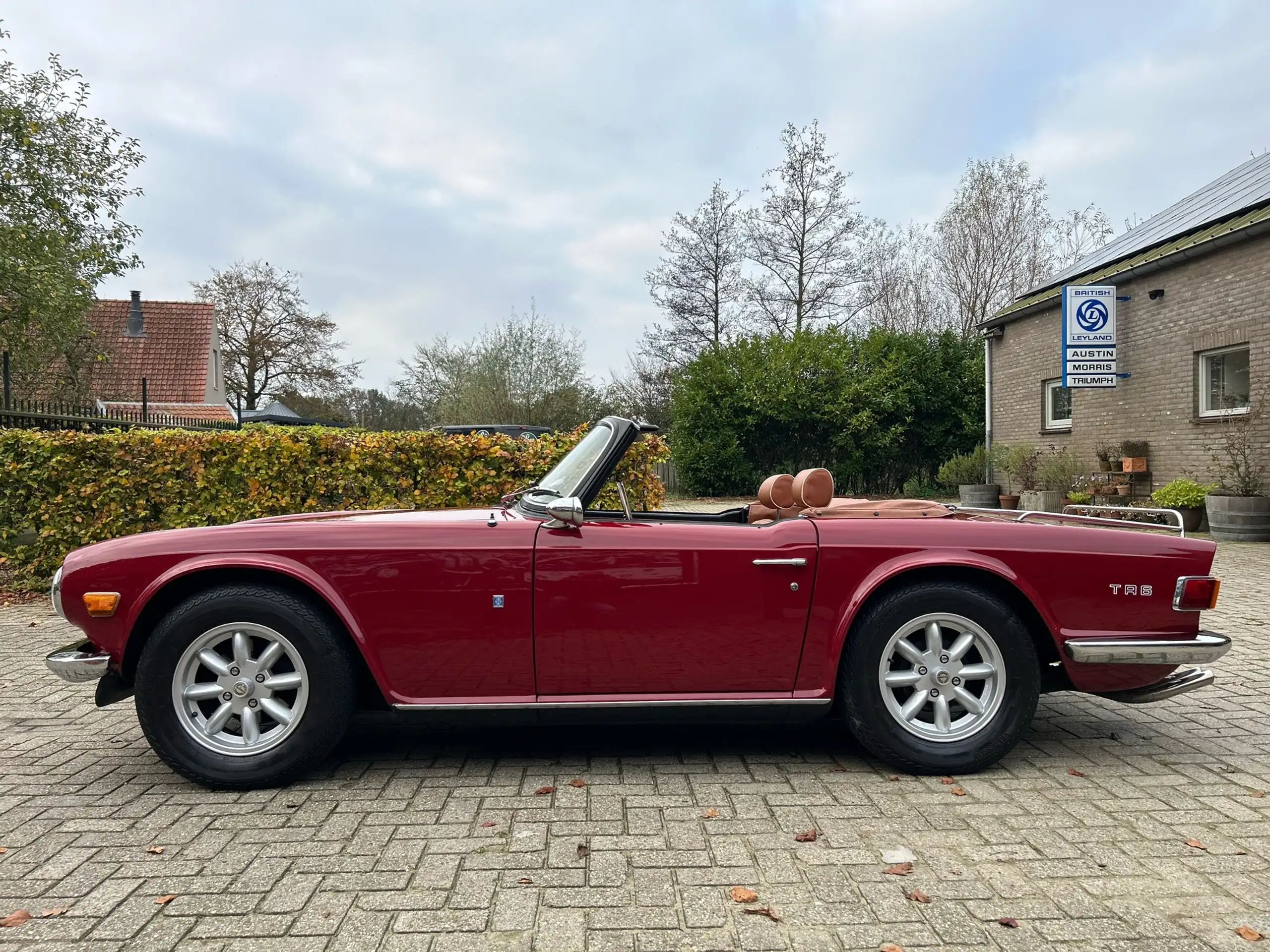 Triumph - TR6