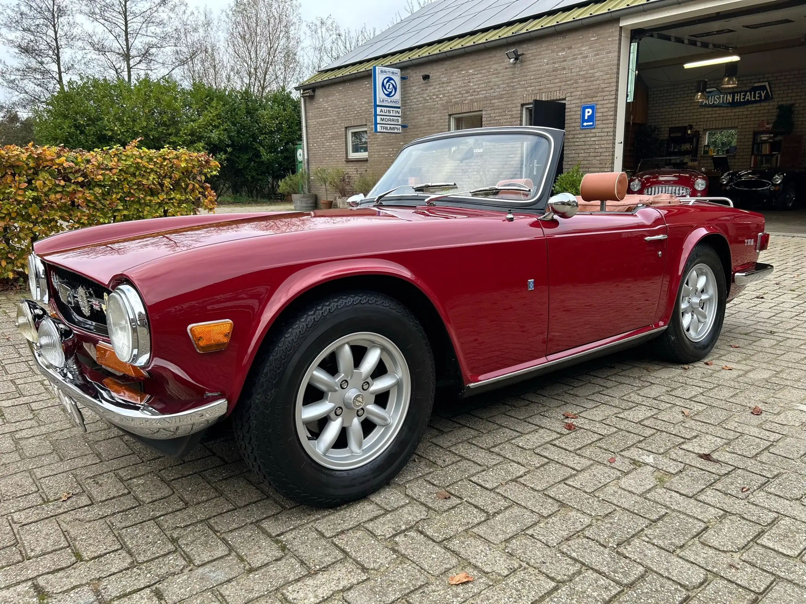 Triumph - TR6