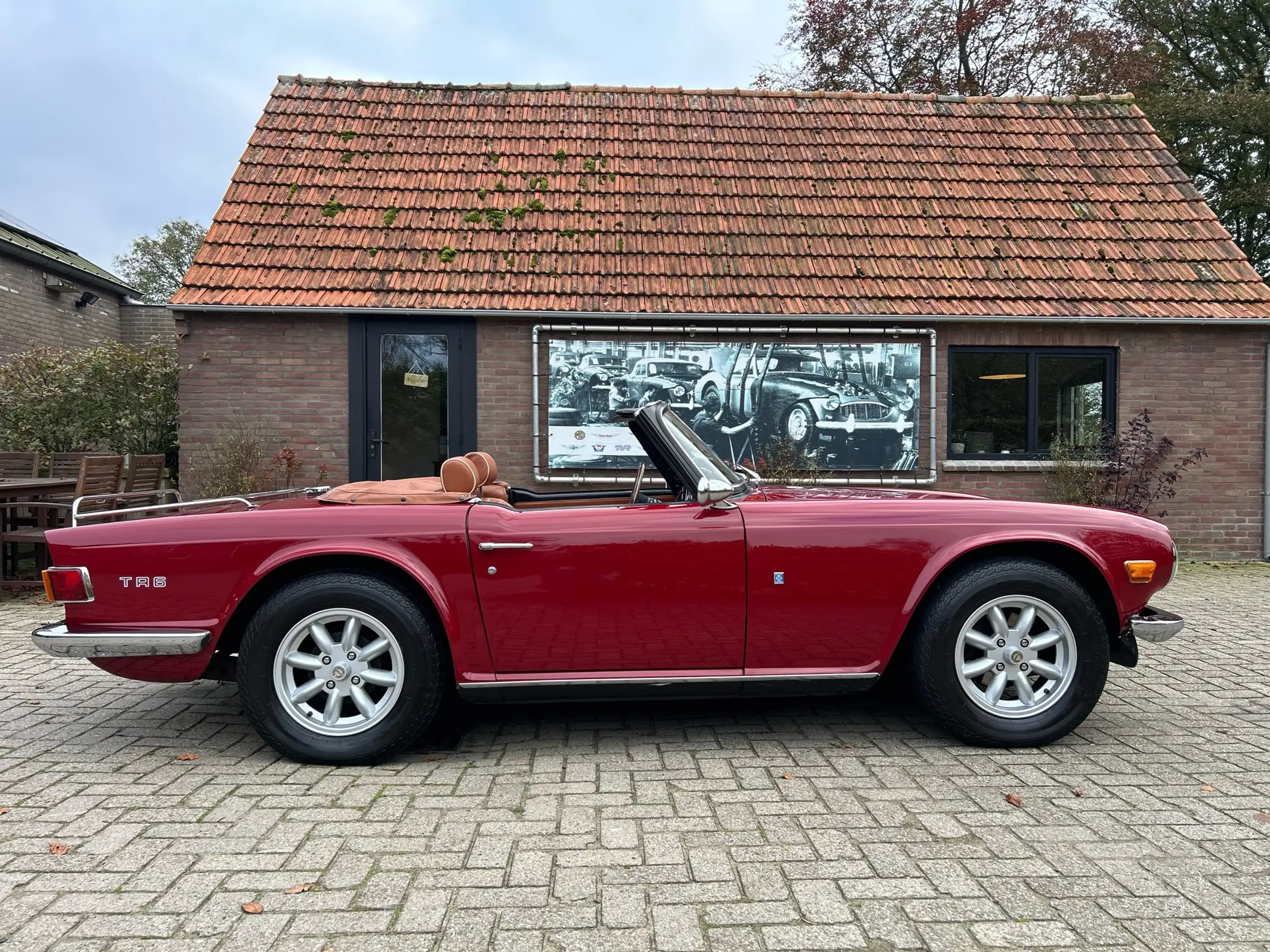 Triumph - TR6