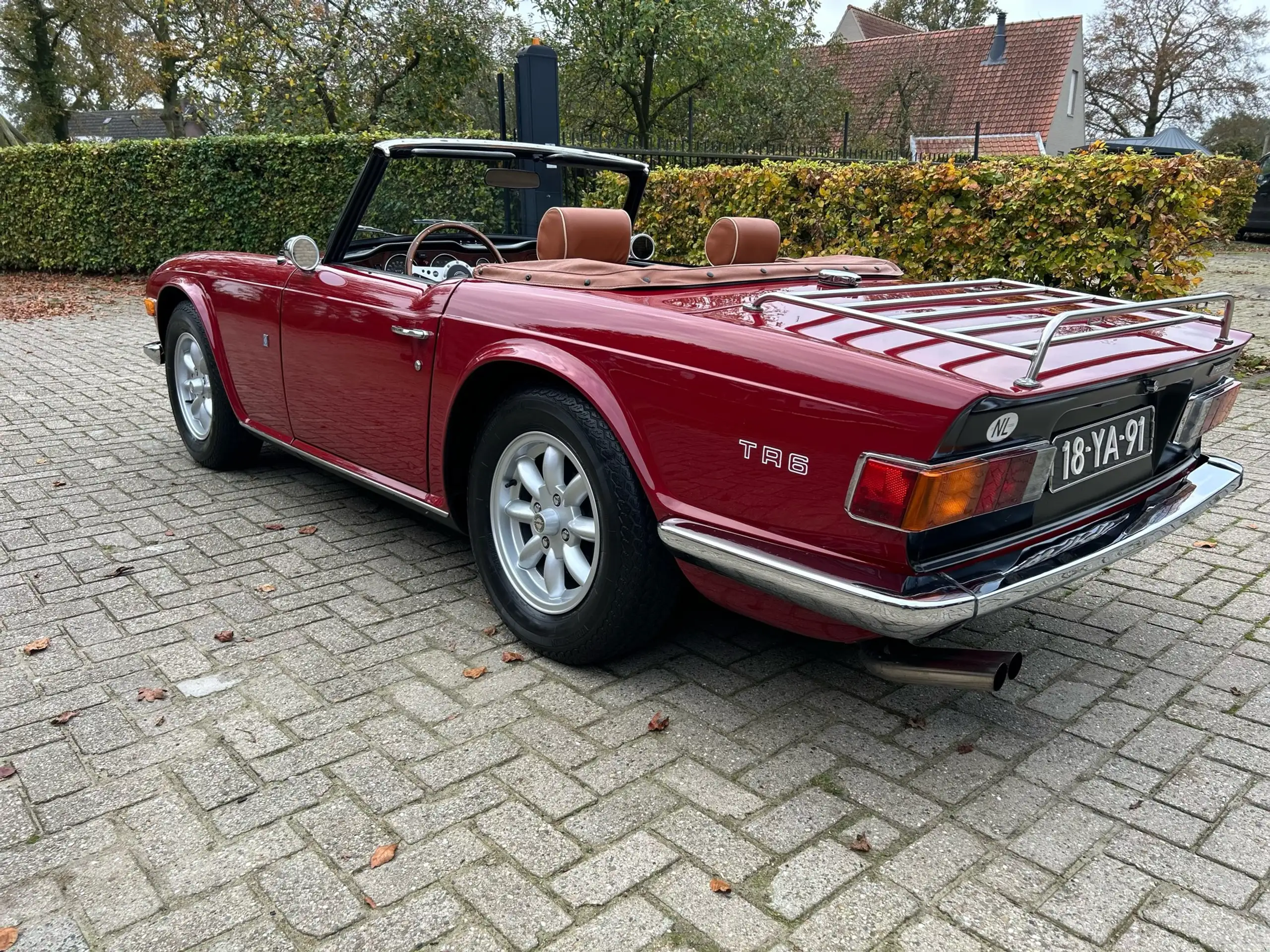 Triumph - TR6