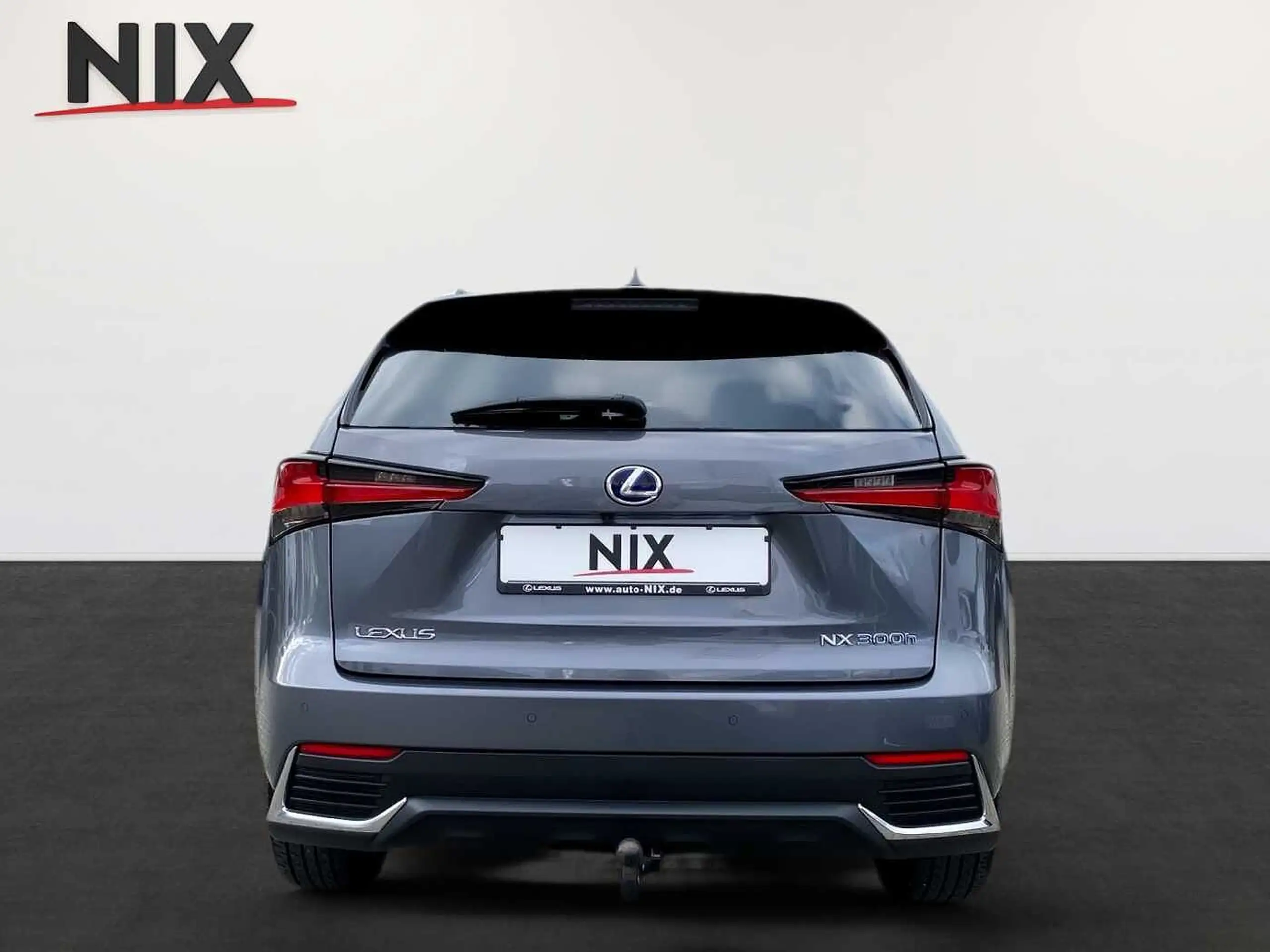 Lexus - NX 300h